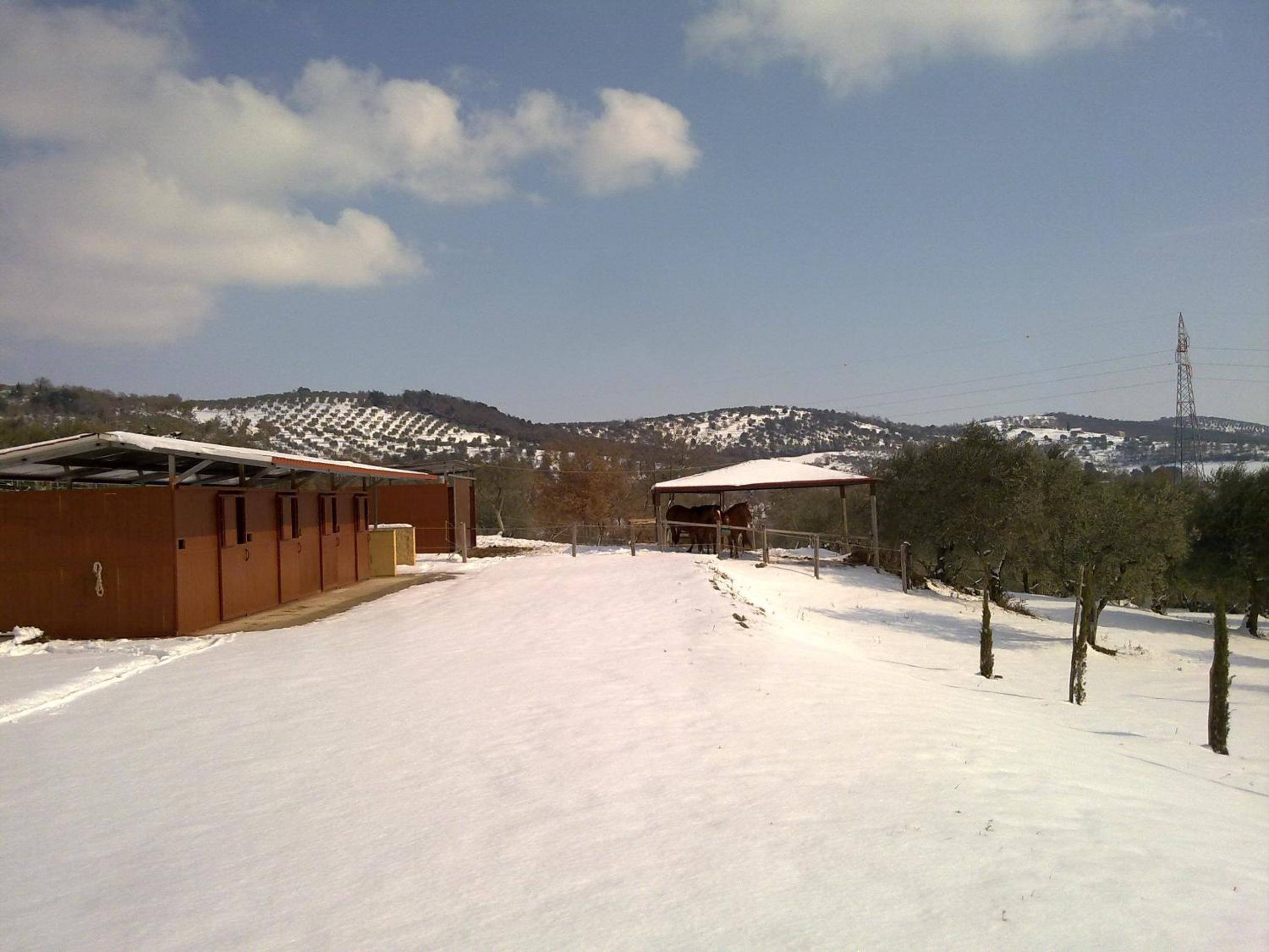 Photo 40
