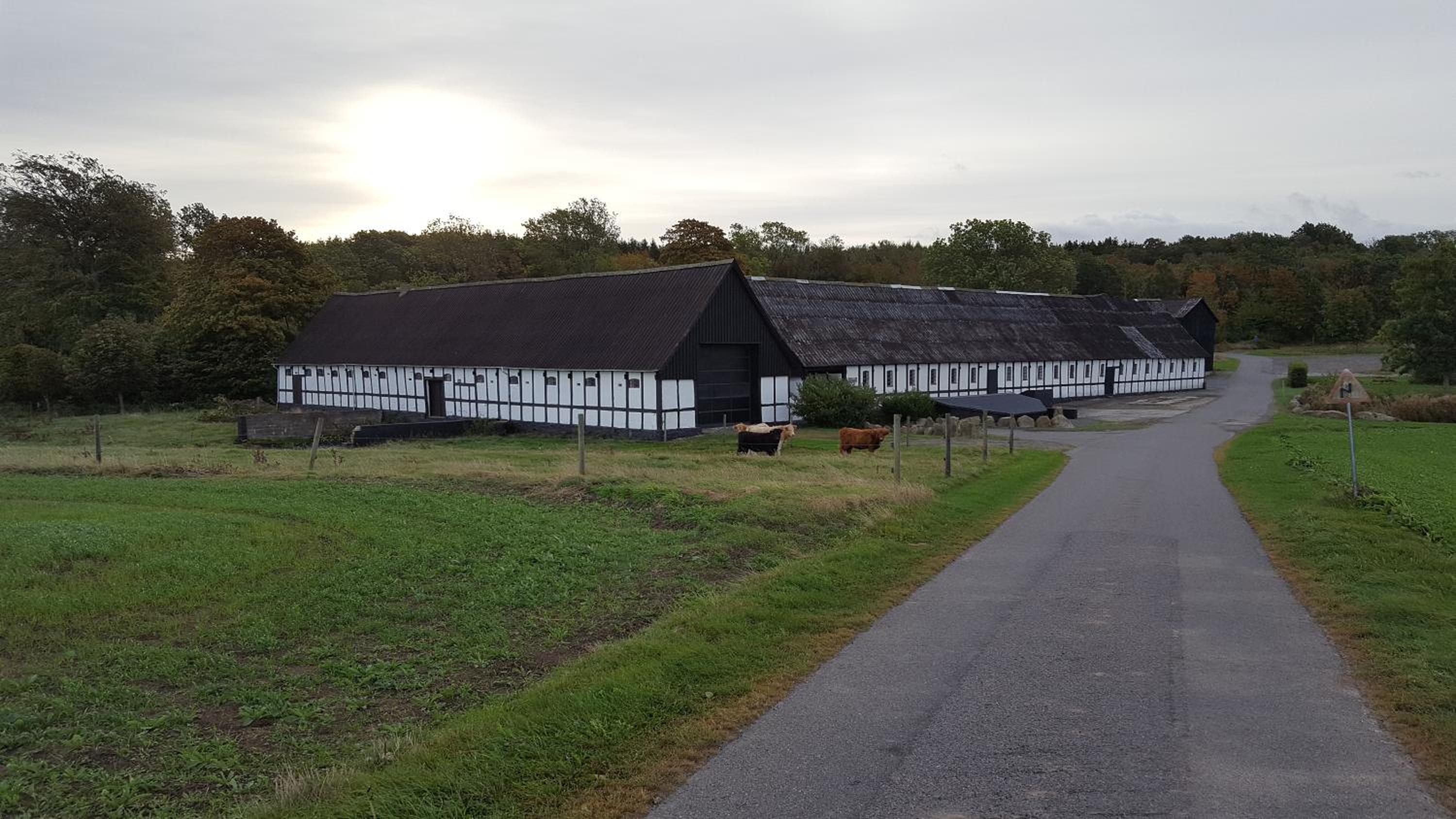 Lehnsgaard