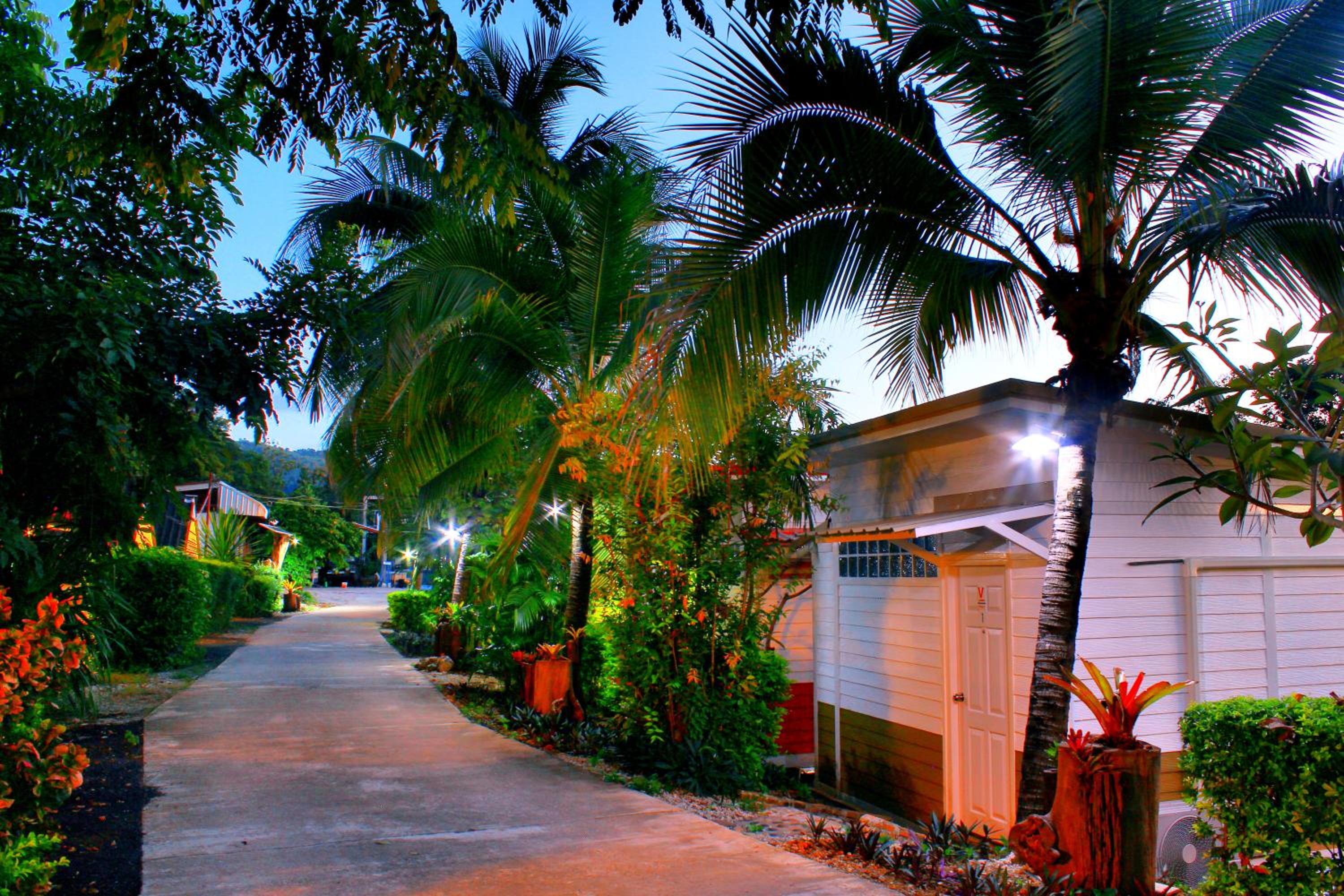 Photo 40