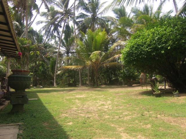 Photo 21