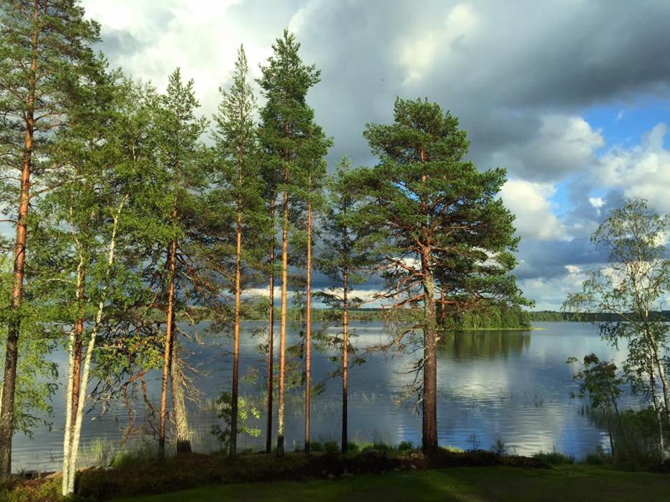 Photo 34