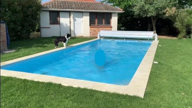 Cottage Blagnac, photo 4