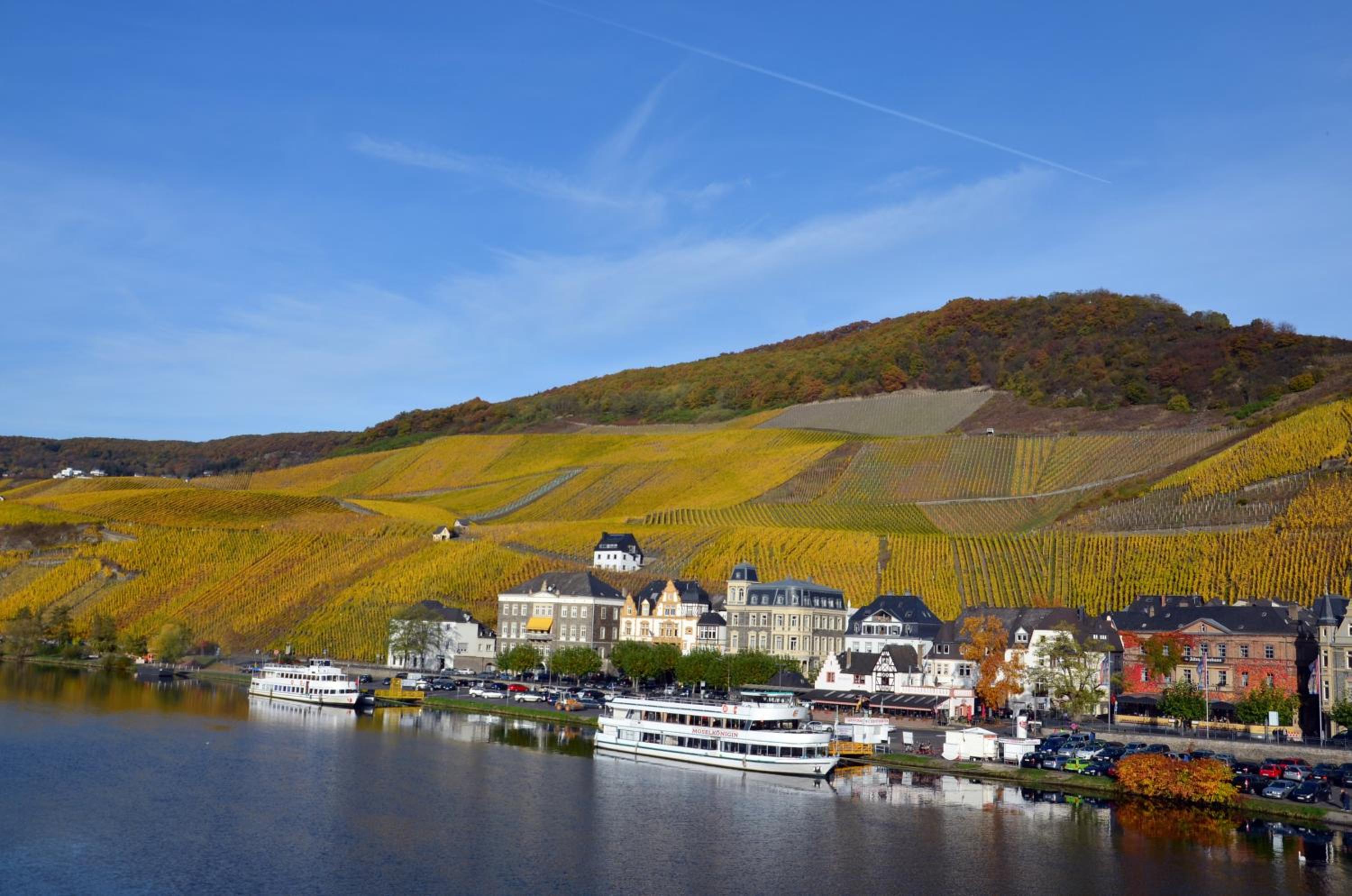 Mosel Röschen