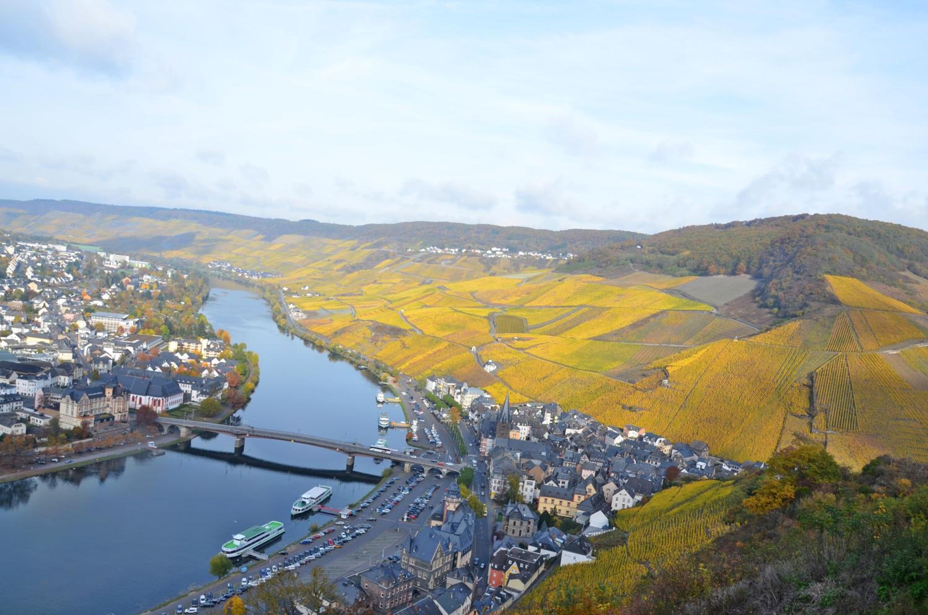 Mosel Röschen