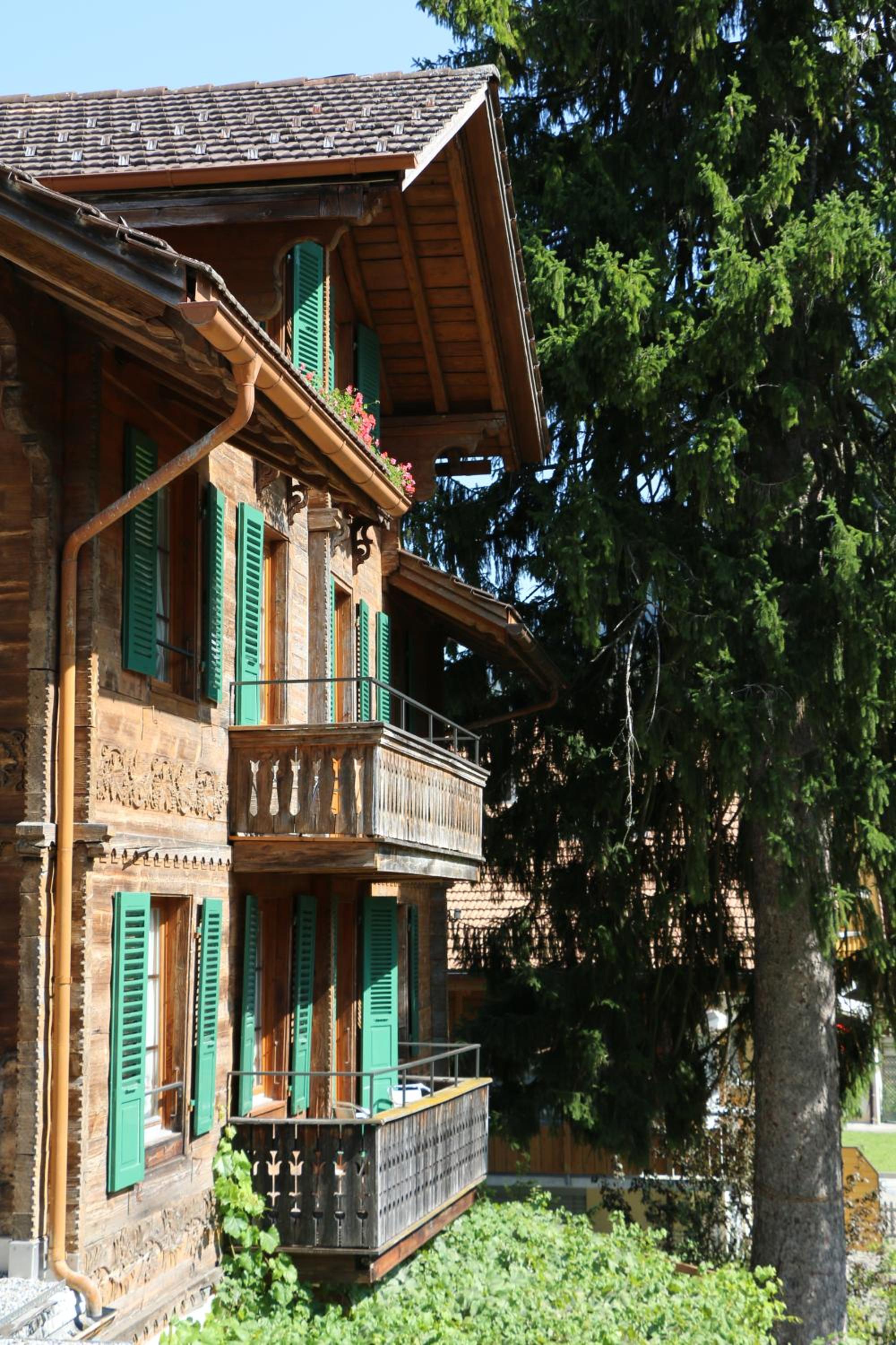 Edelweiss Lodge