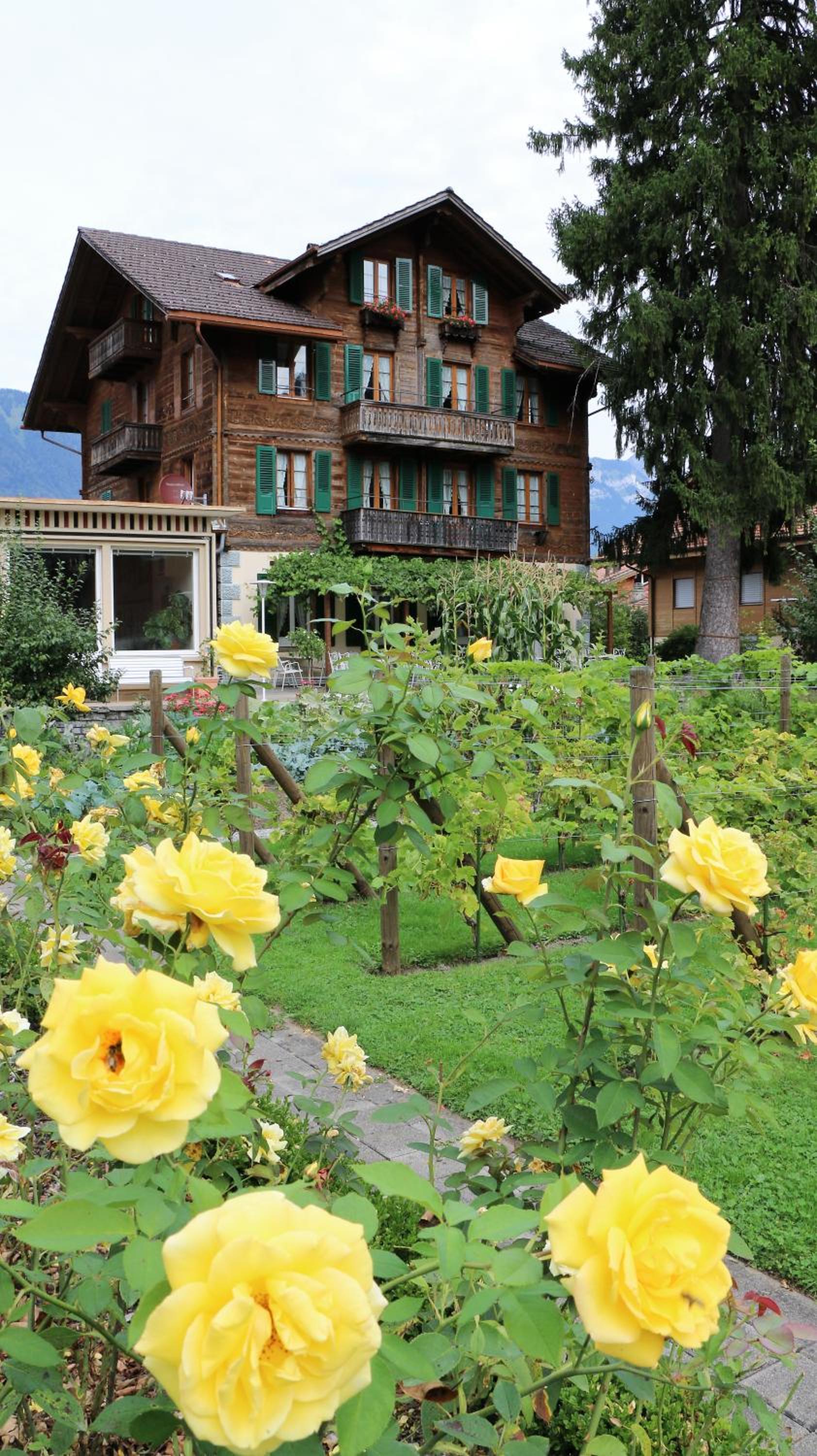 Edelweiss Lodge