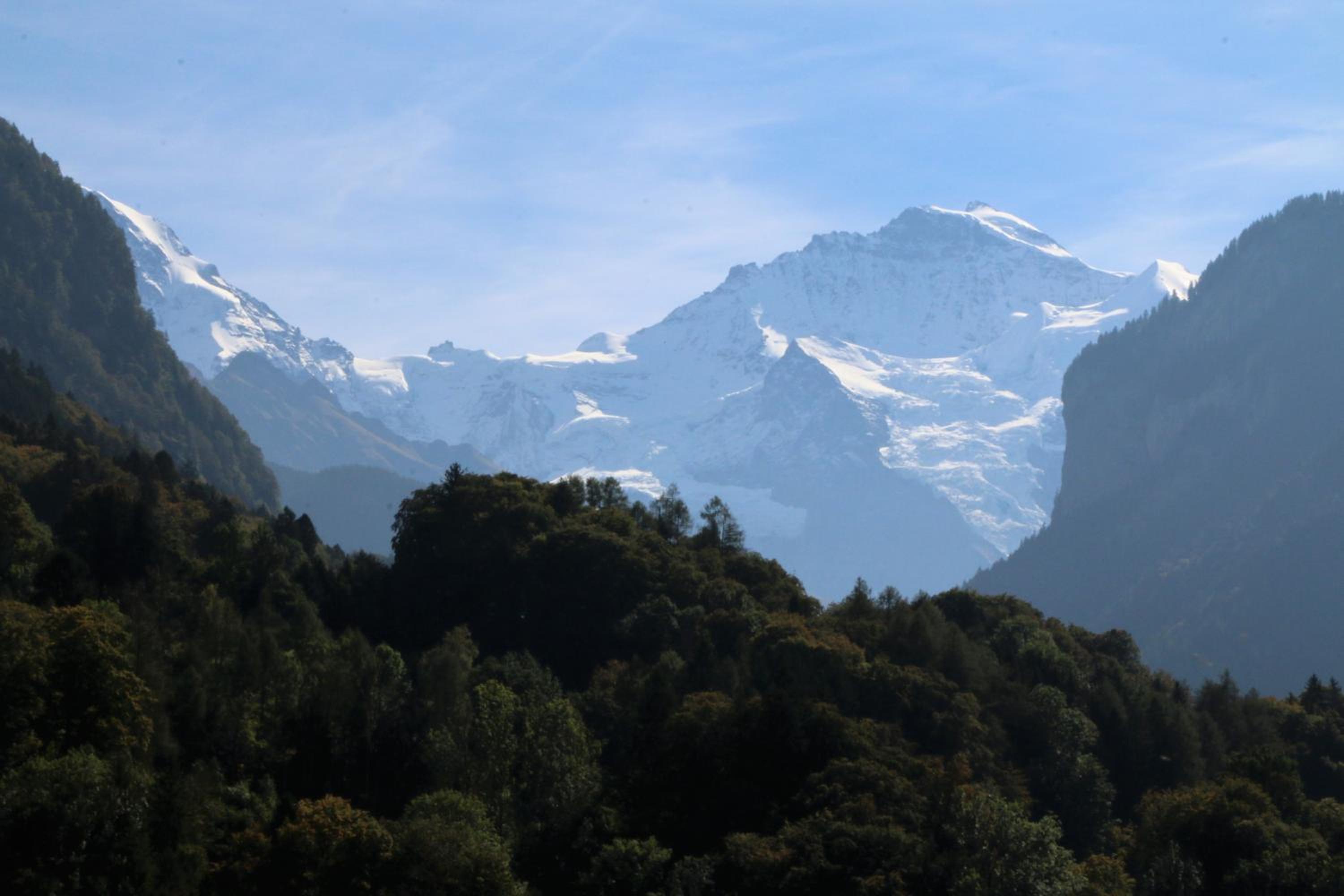 Edelweiss Lodge