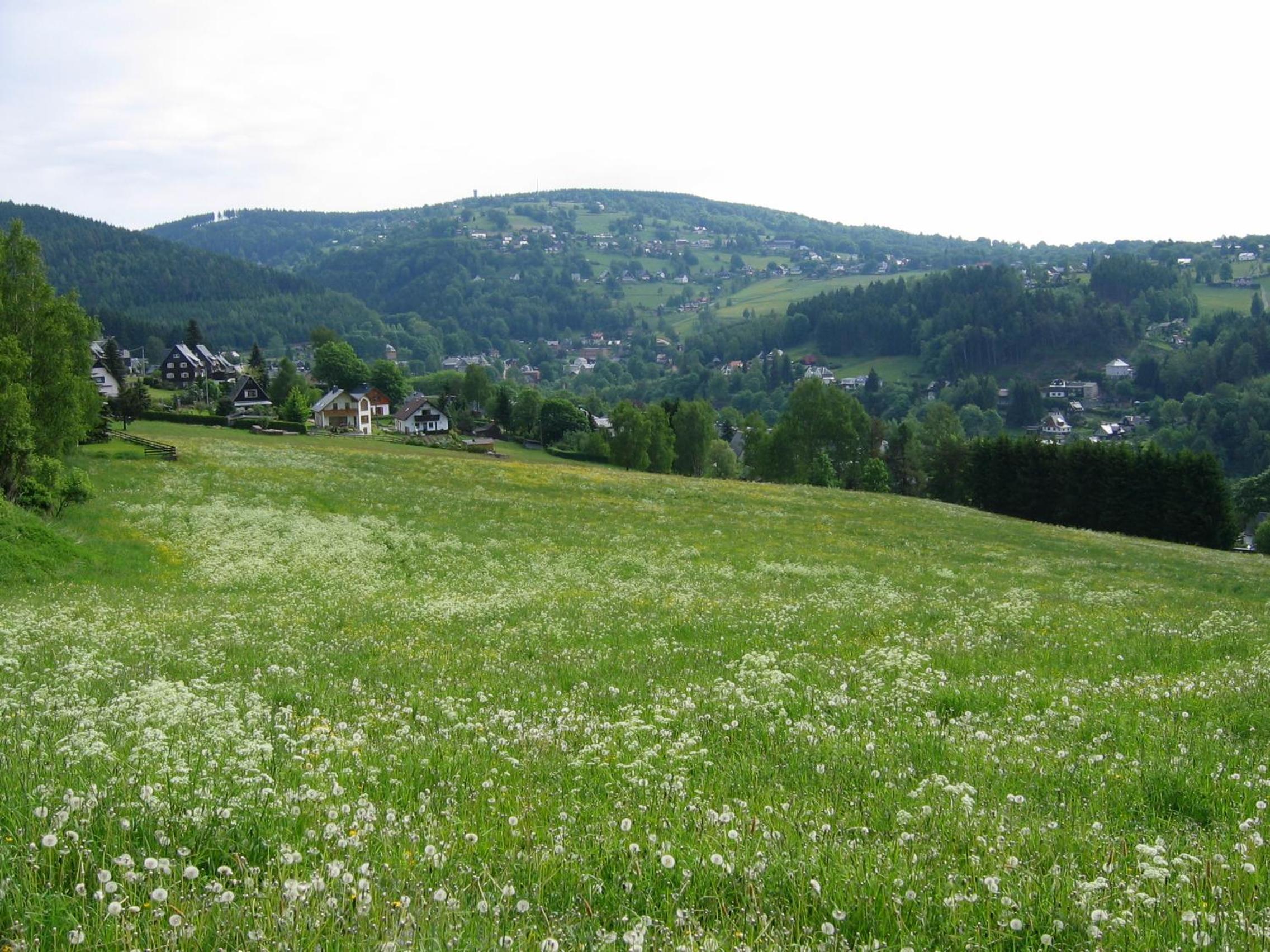 Ferienhaus Gampe