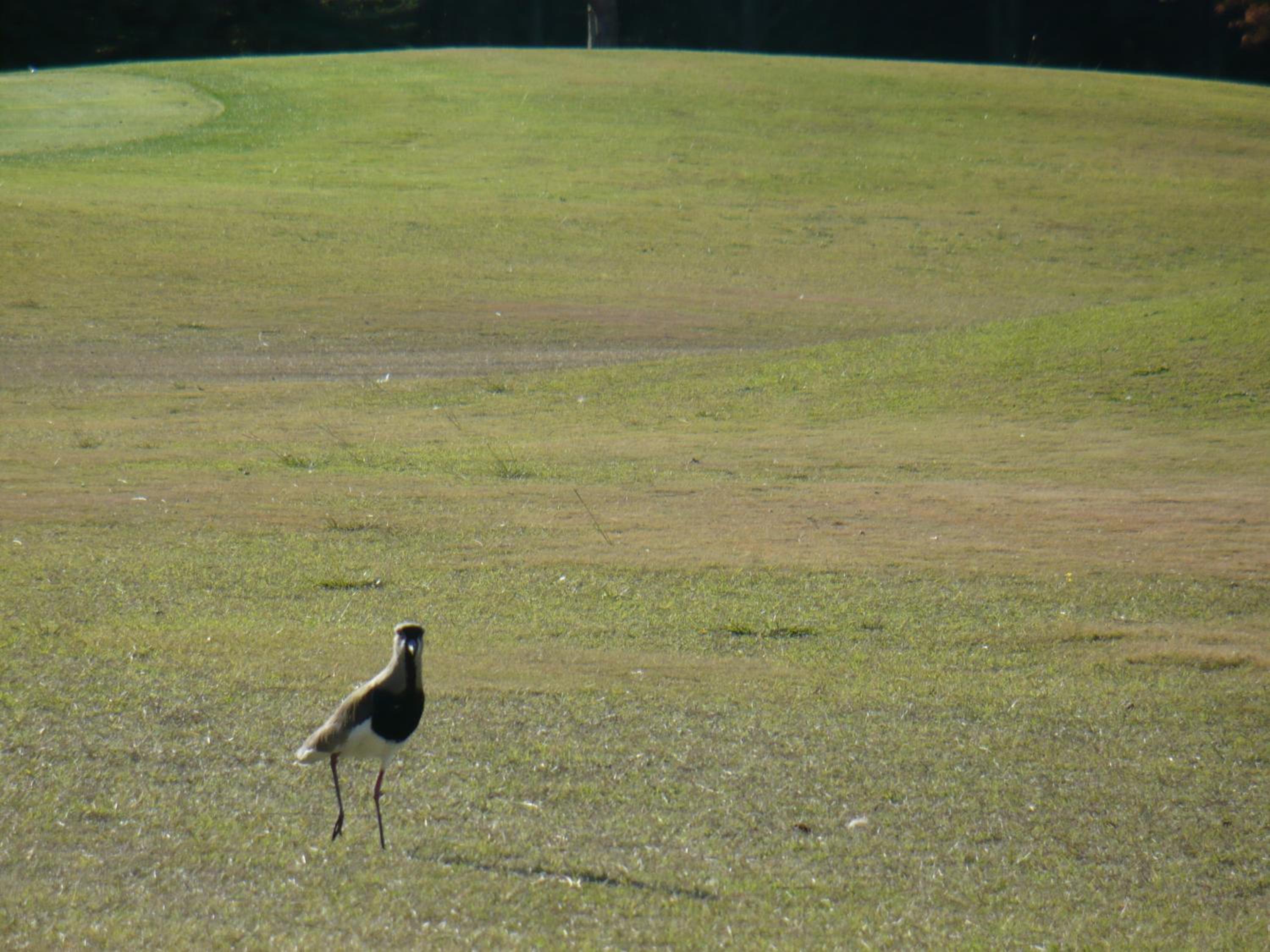Complejo Frente al Golf