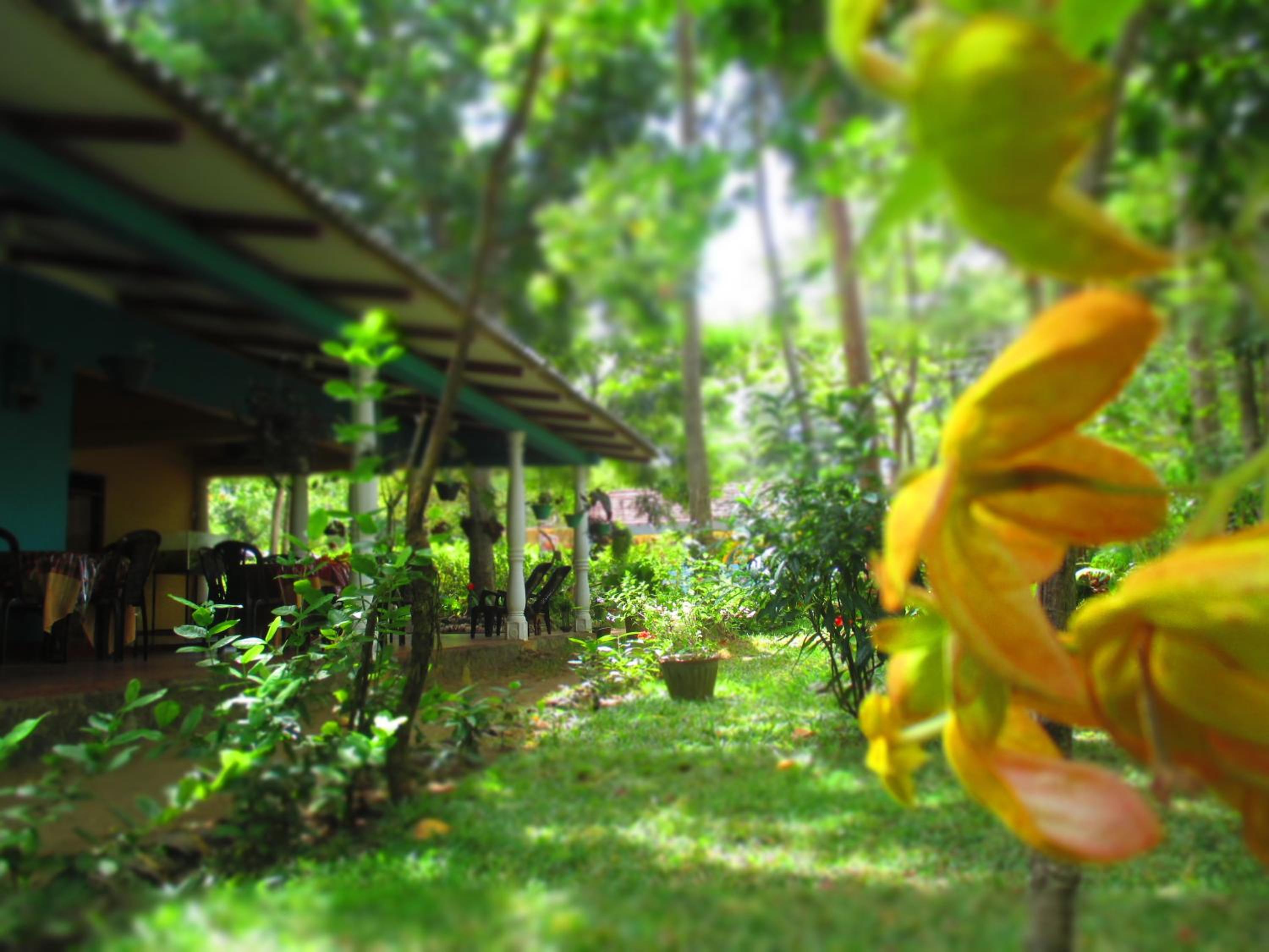 Palitha Homestay