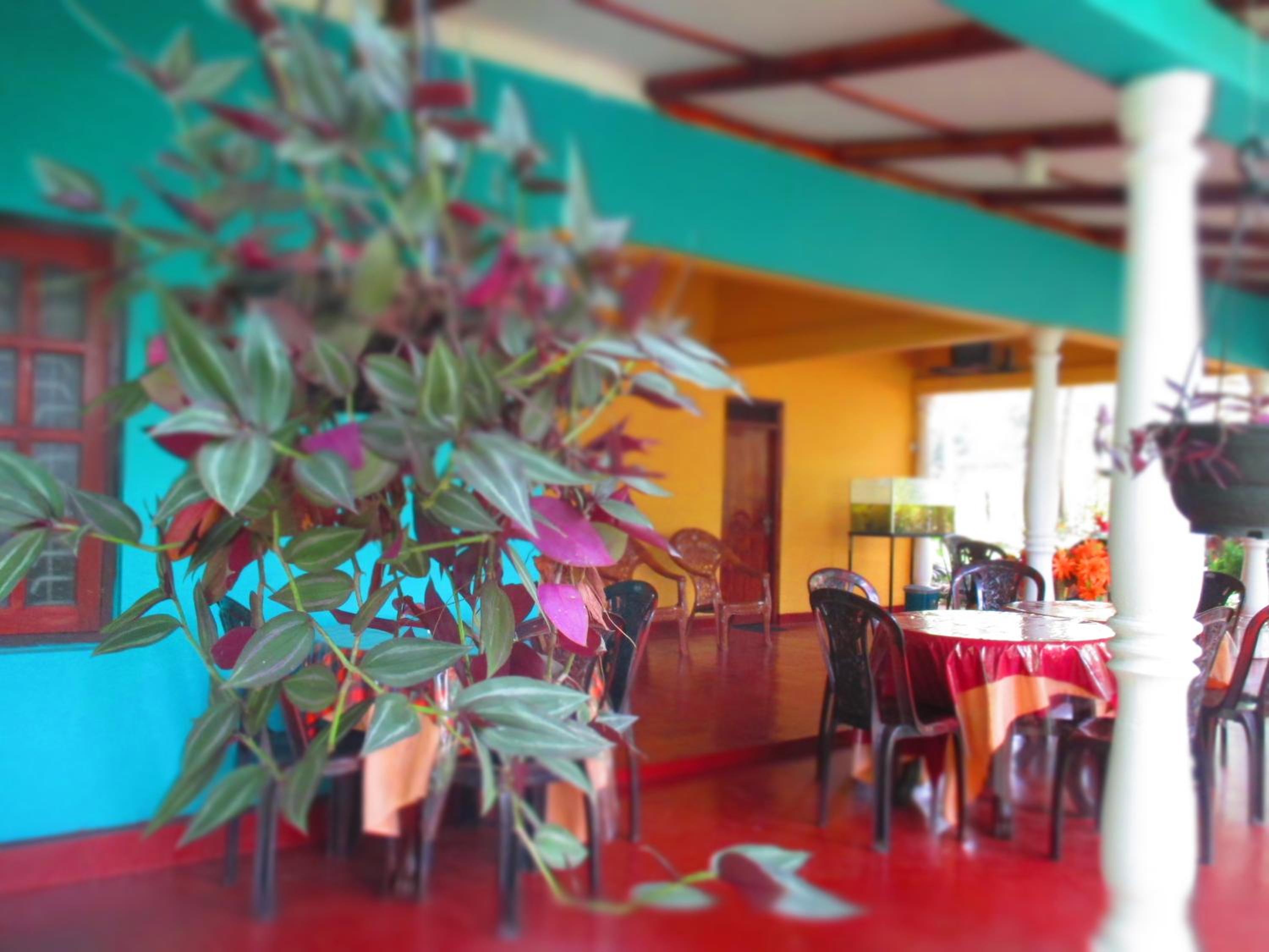 Palitha Homestay