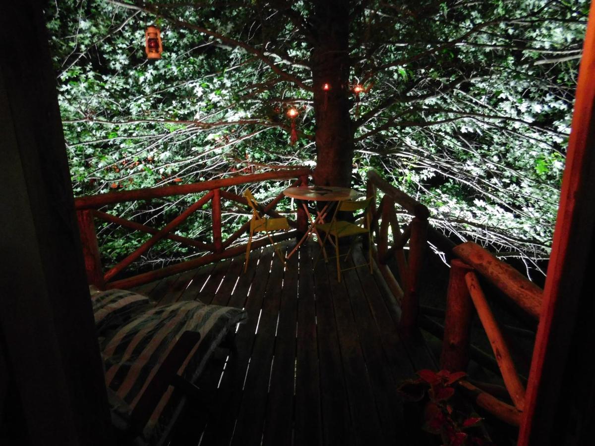 La Casa Del Arbol con pileta privada