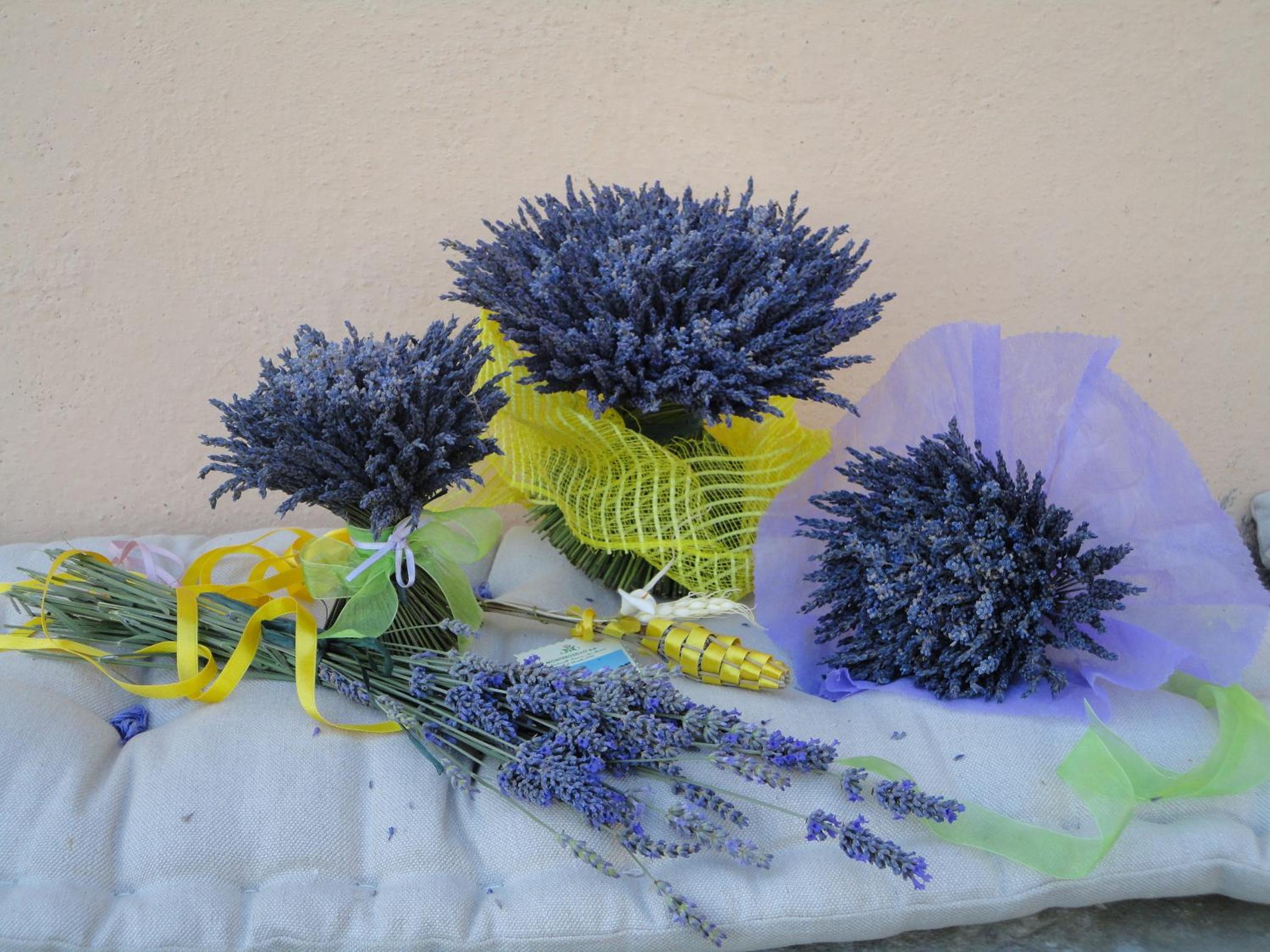 Photo 45