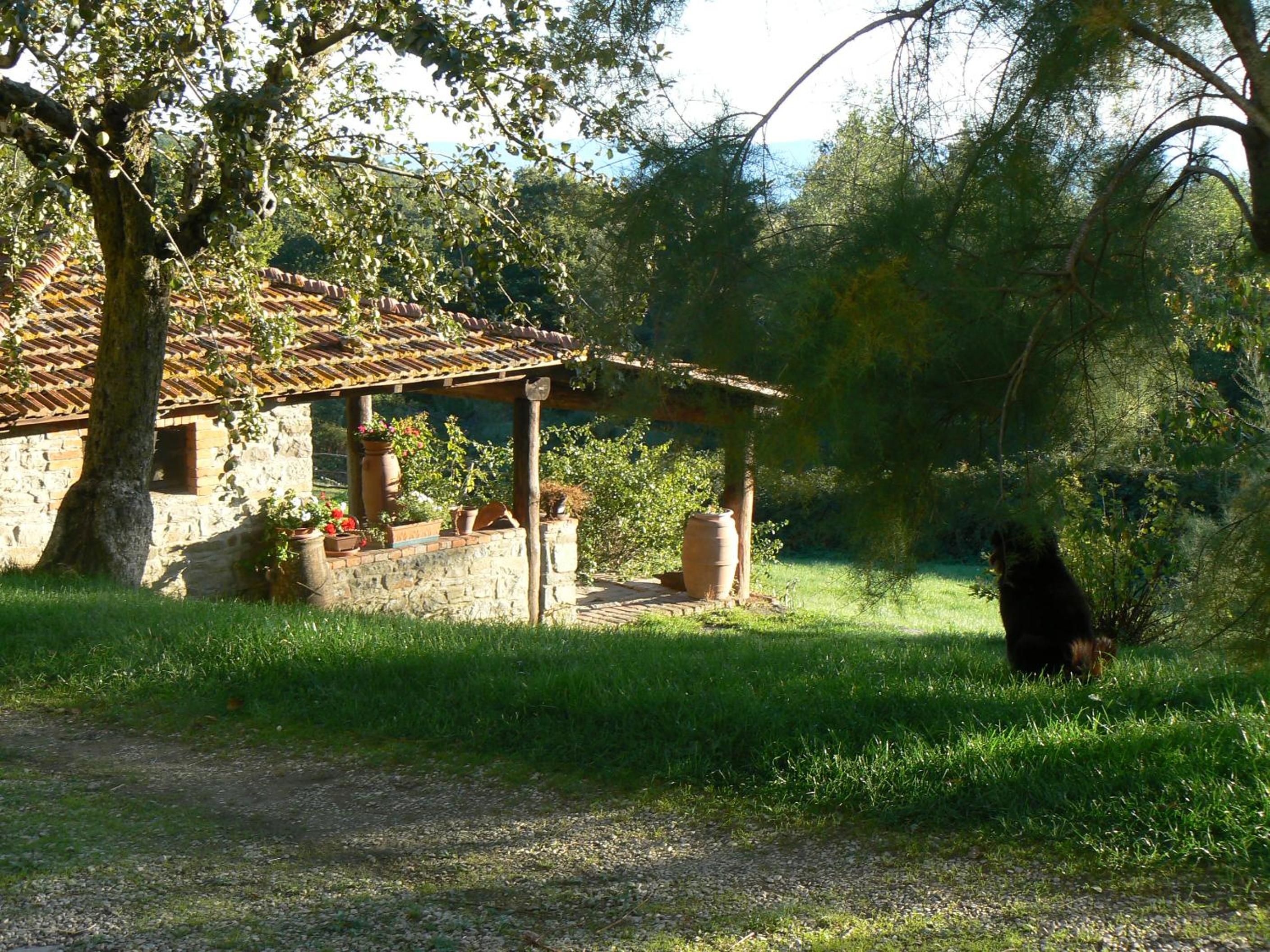 Photo 27