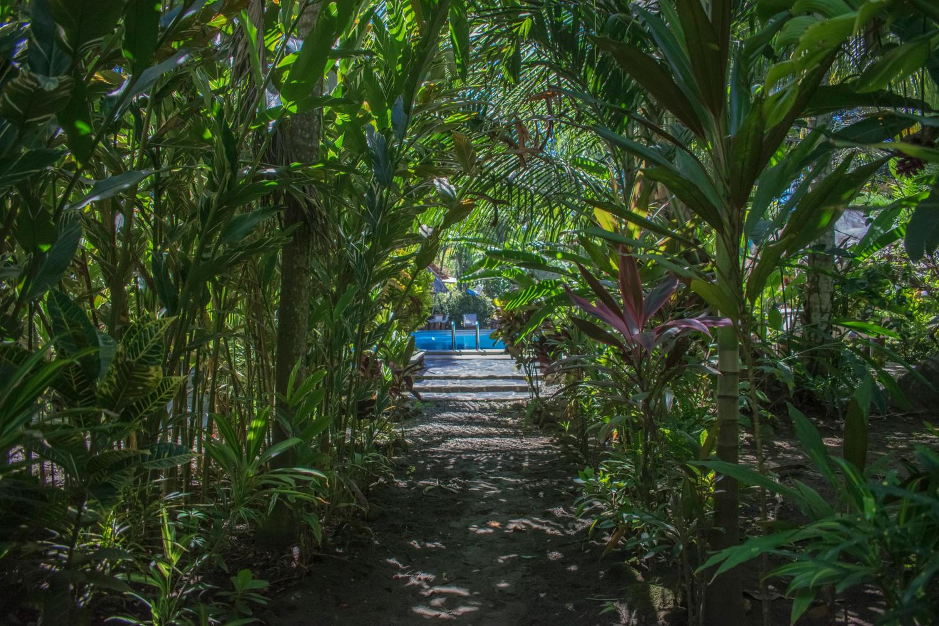 Atlantida Lodge Cahuita
