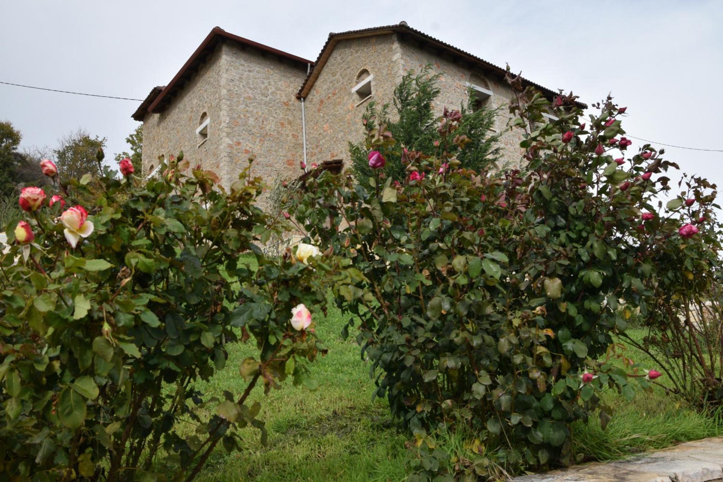 Photo 26