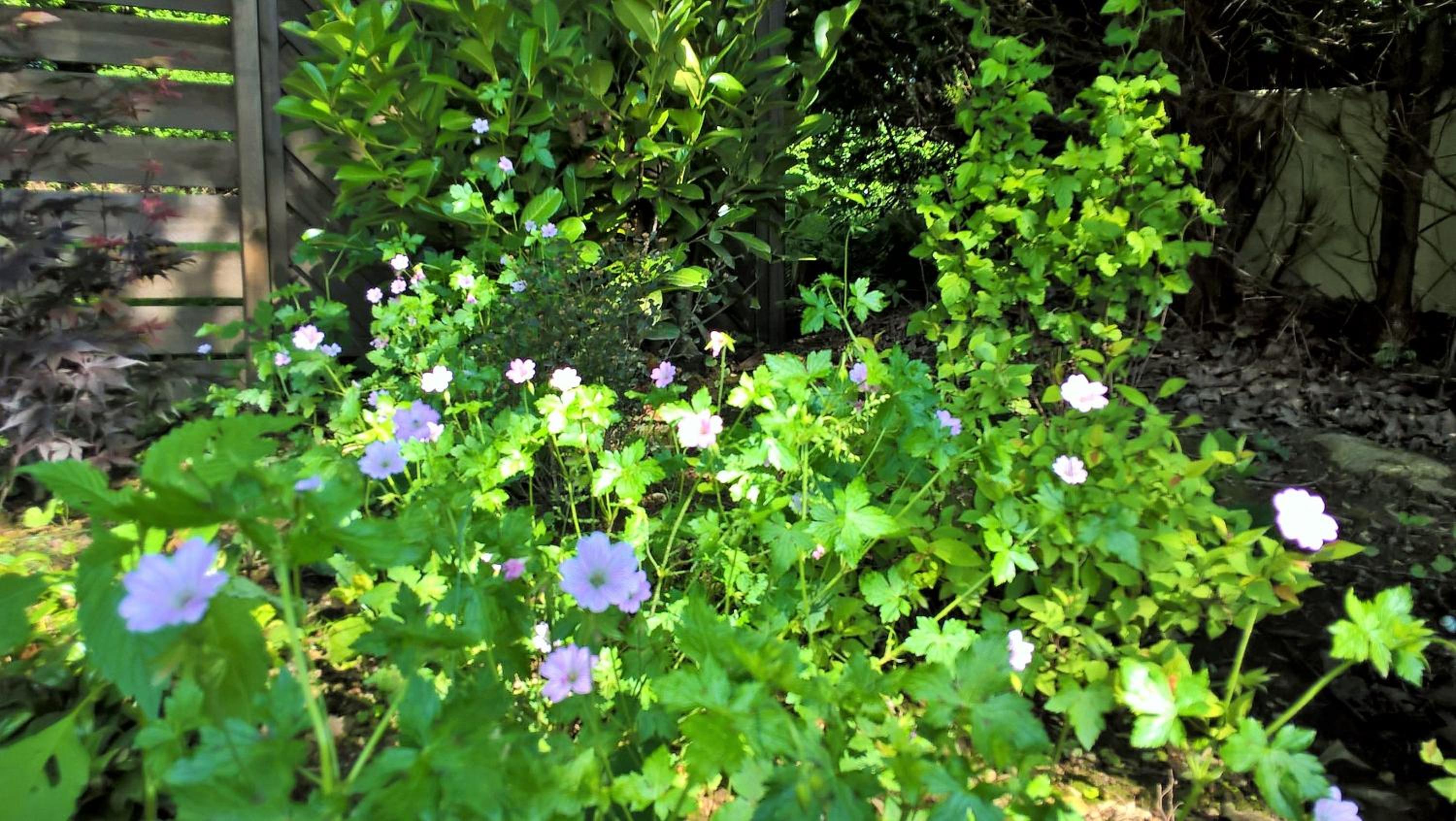 Villa Sous-Bois Marie view 5
