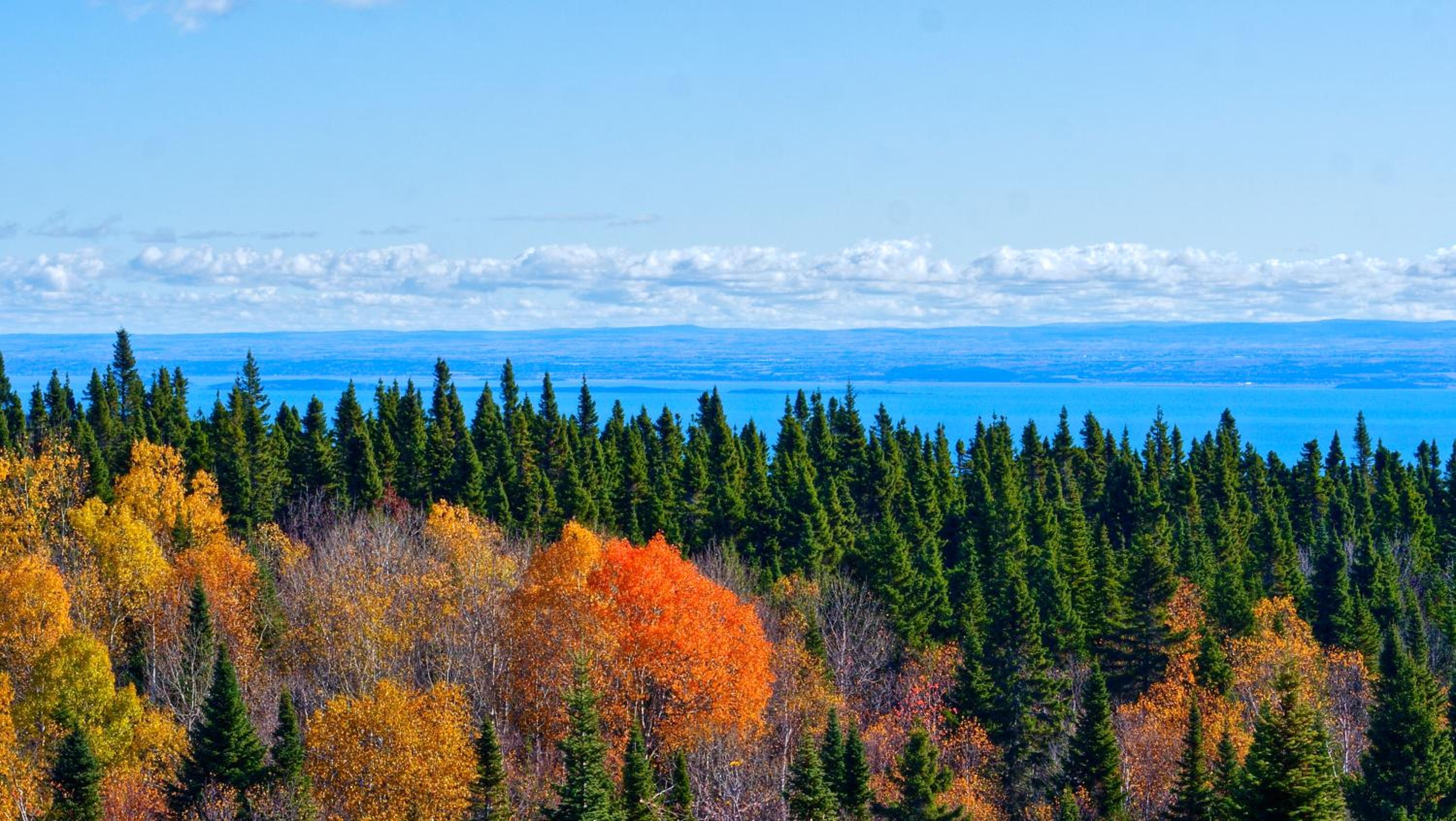 Le Refuge - Les Chalets Spa Canada view 5