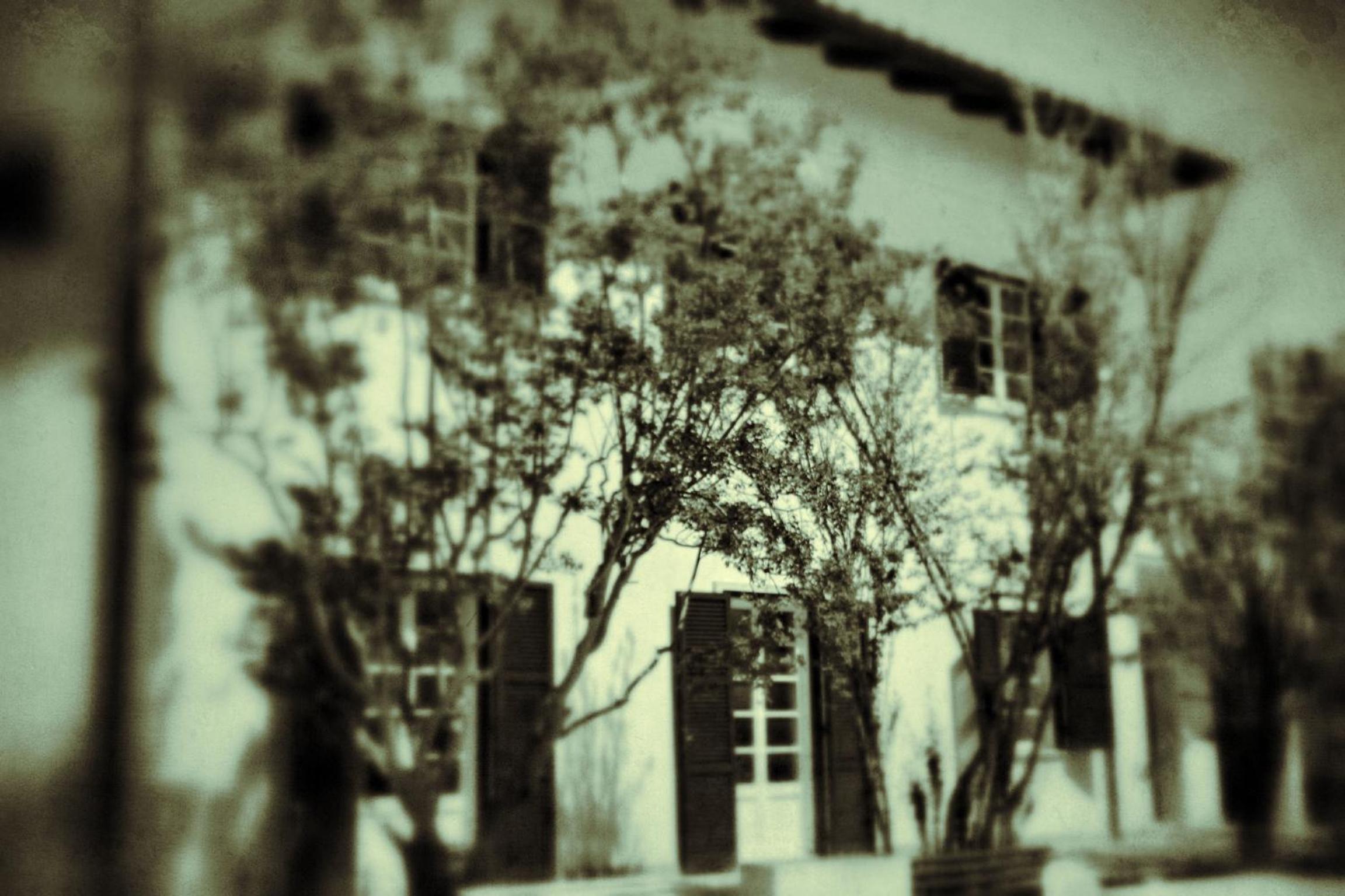 Photo 41