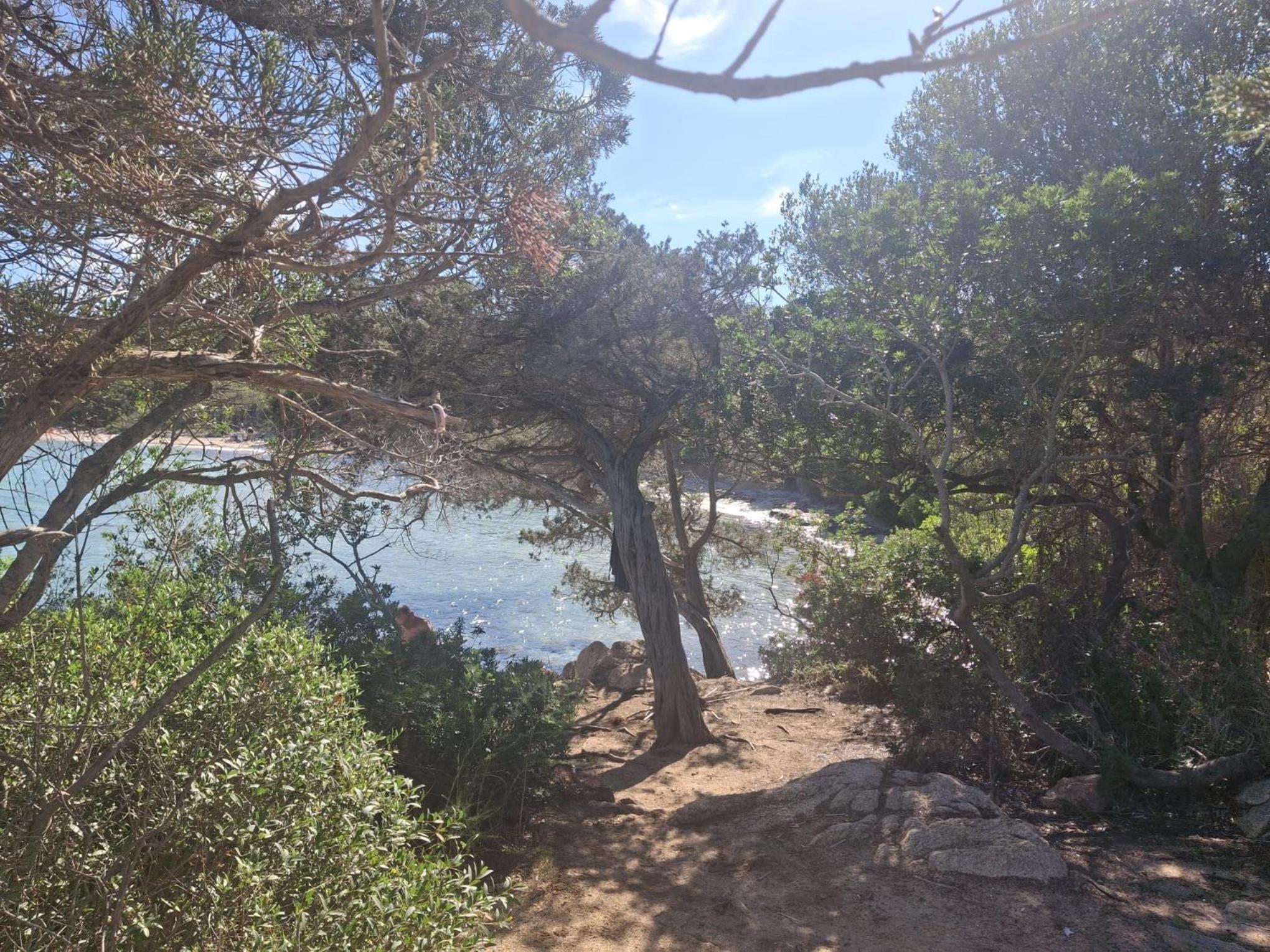 Casa Mene', photo 7