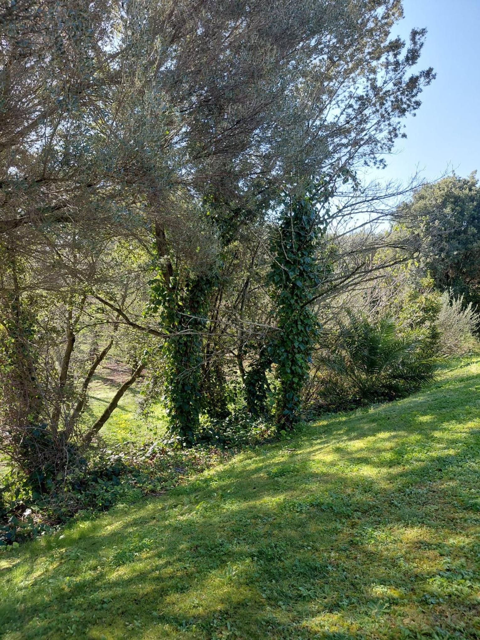 Casa Mene', photo 3