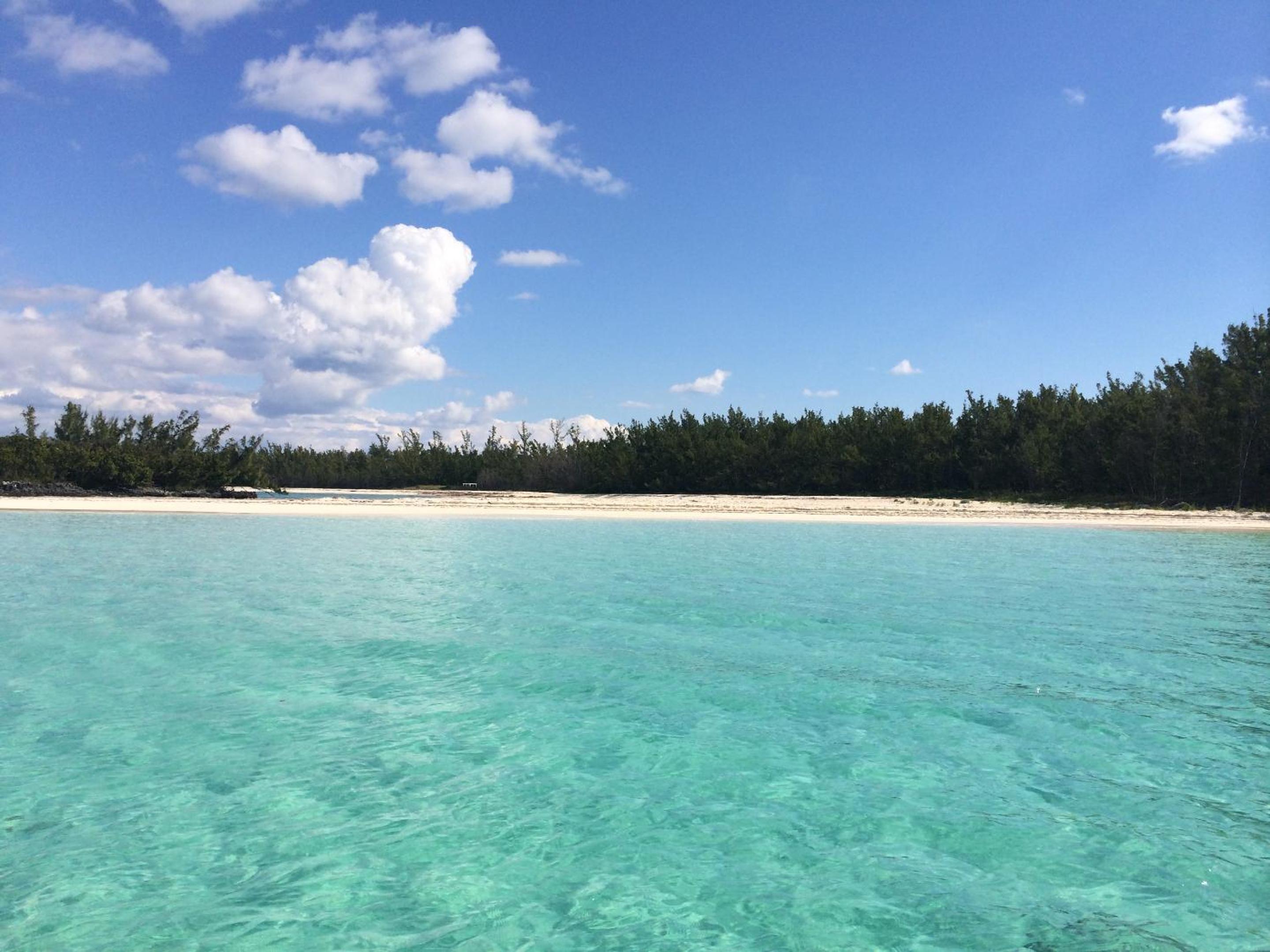 Green Turtle Club Resort & Marina view 5