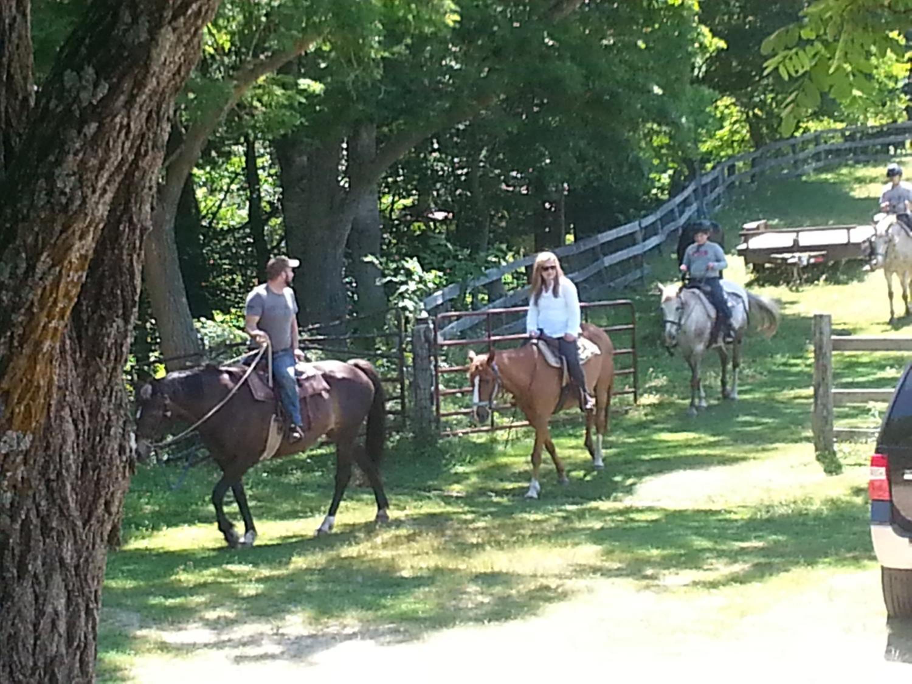 Arrowmont Stables & Cabins