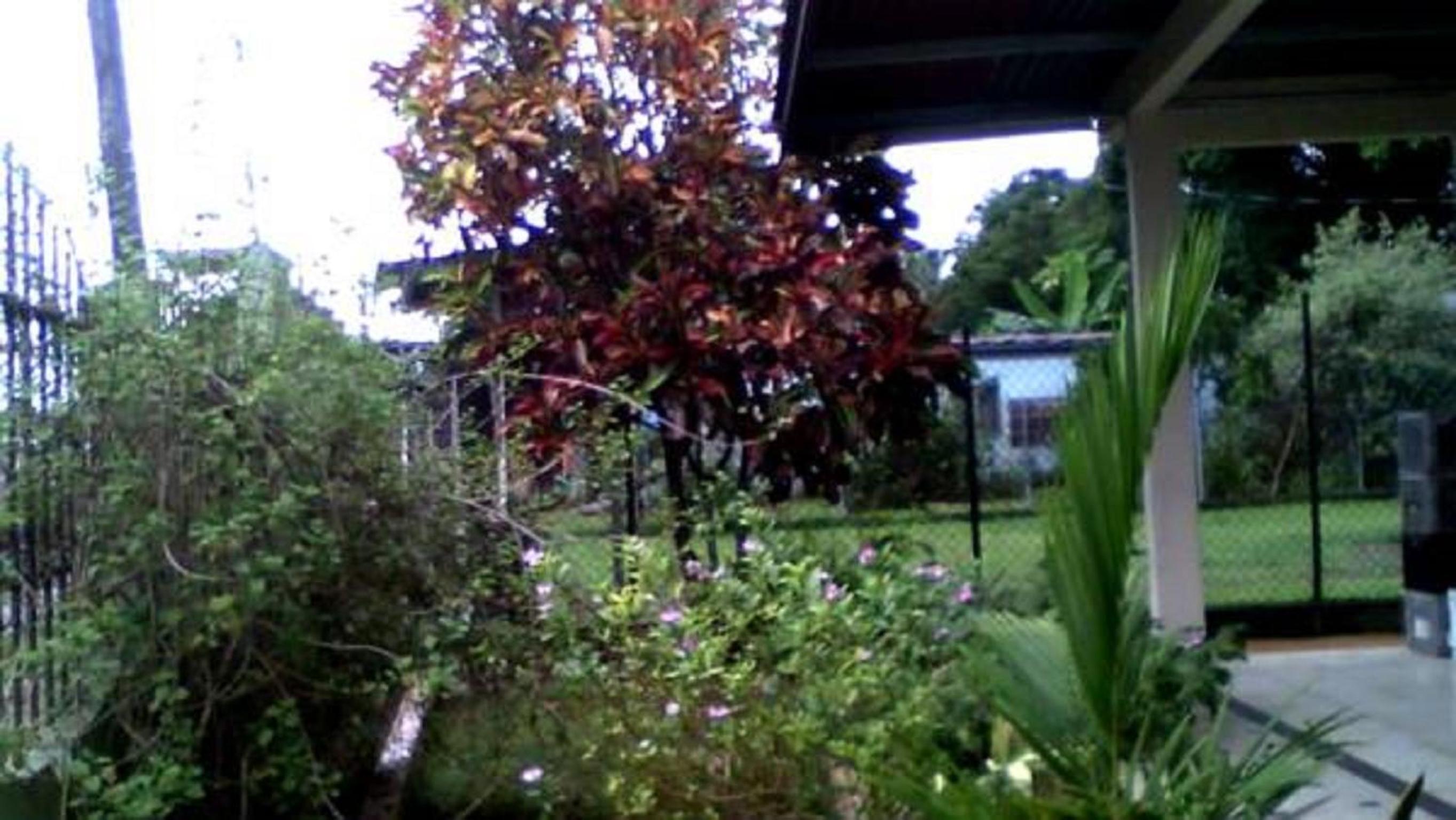 PaCasa Hostel, photo 70
