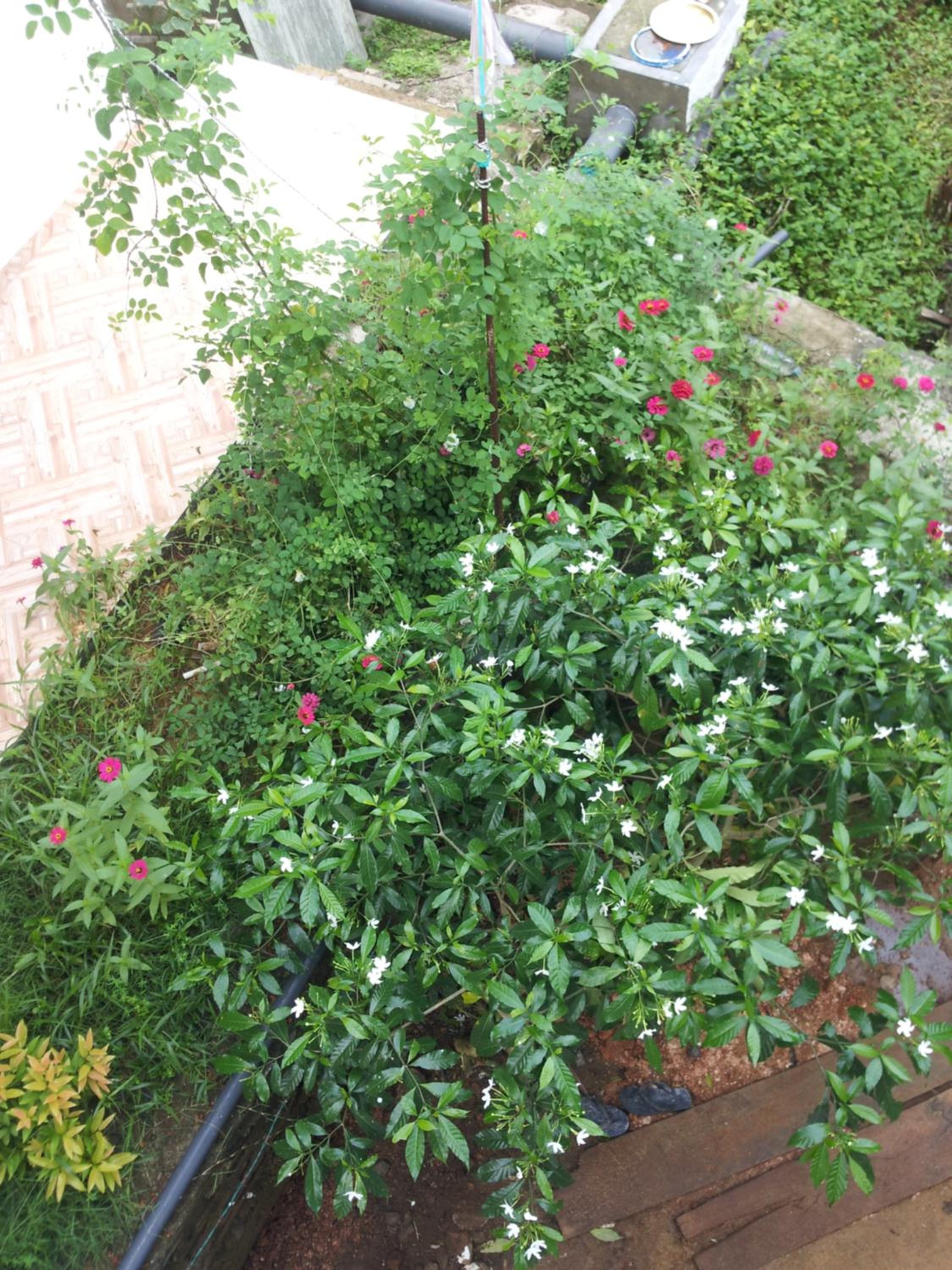 Photo 17