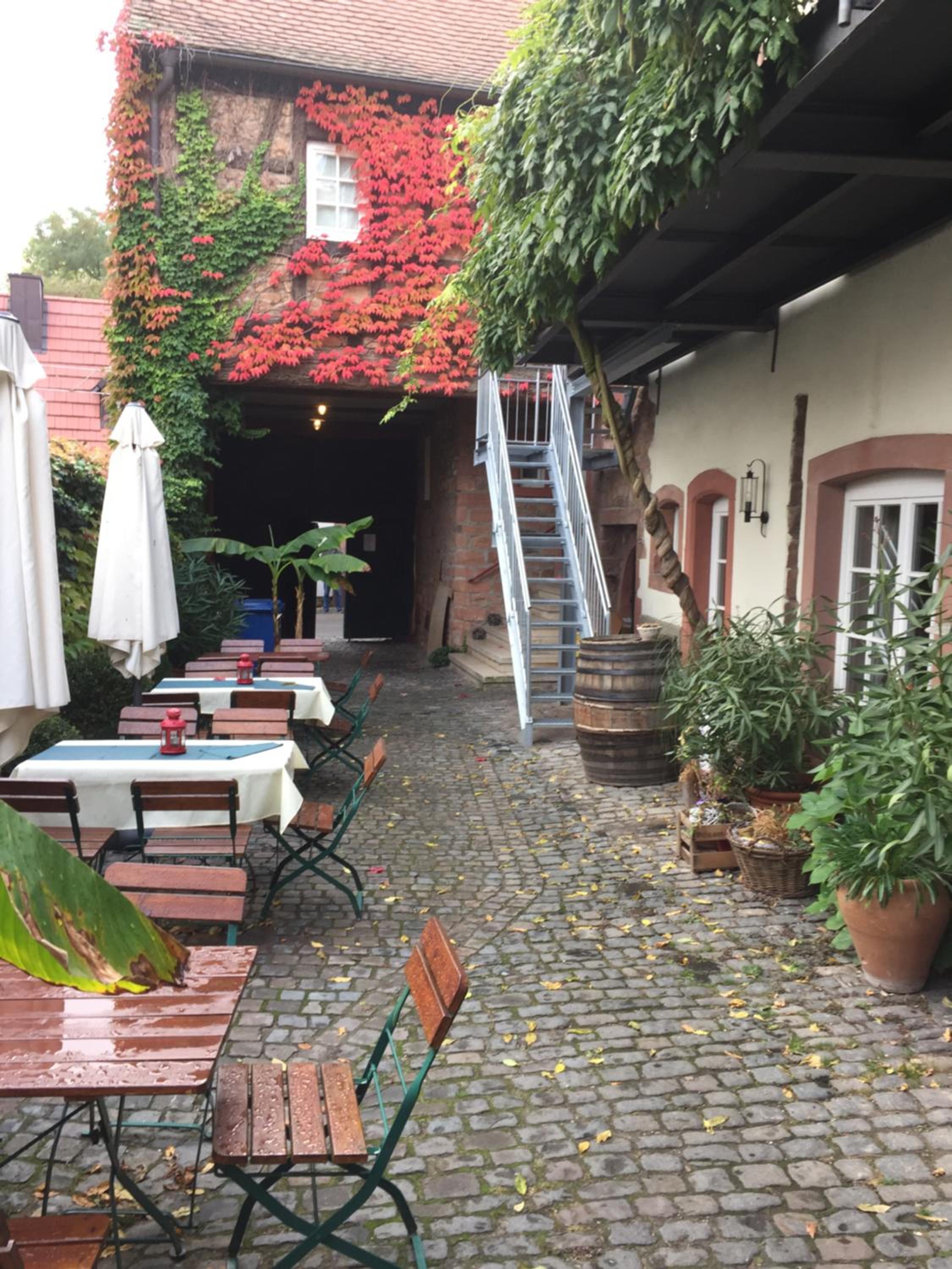 Alter Winzerhof Weisenheim am Berg 3 Sterne SUPERIOR