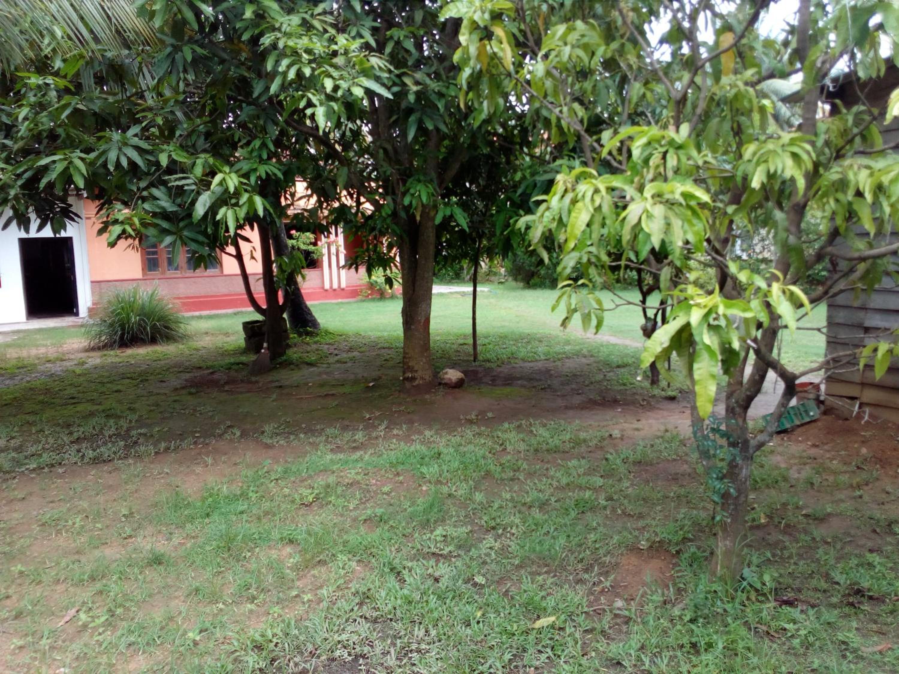 Photo 26