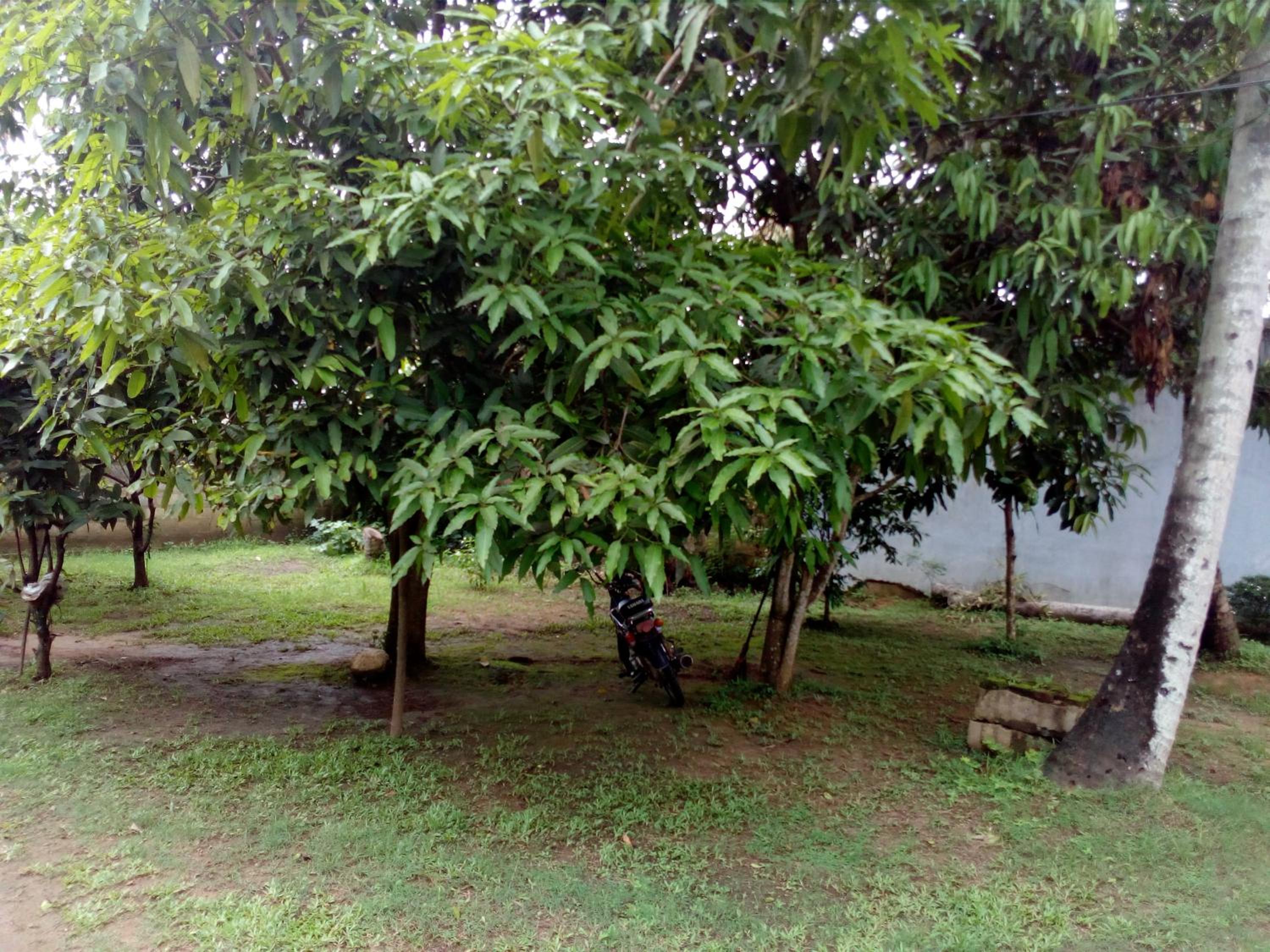 Photo 40