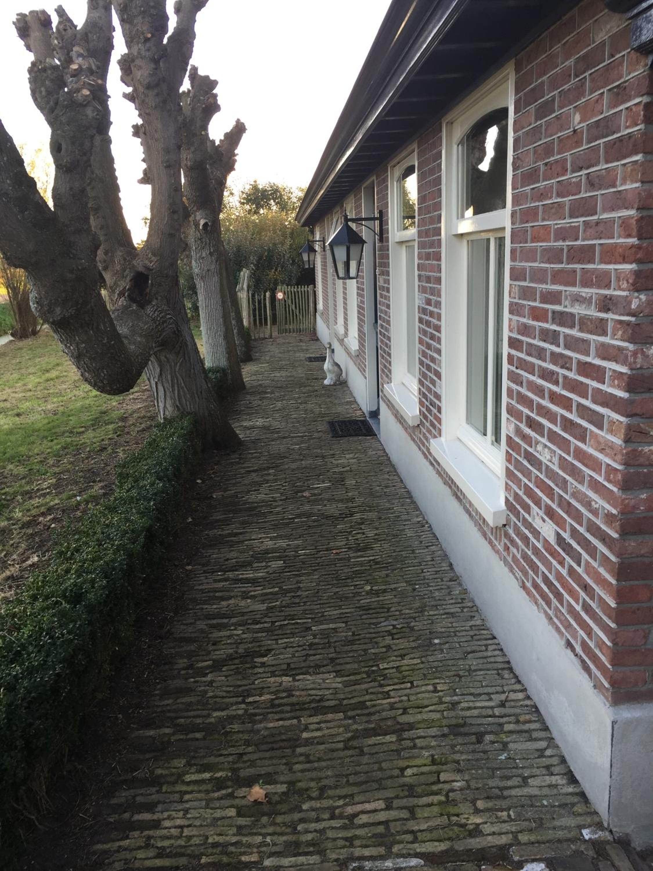 Photo 42