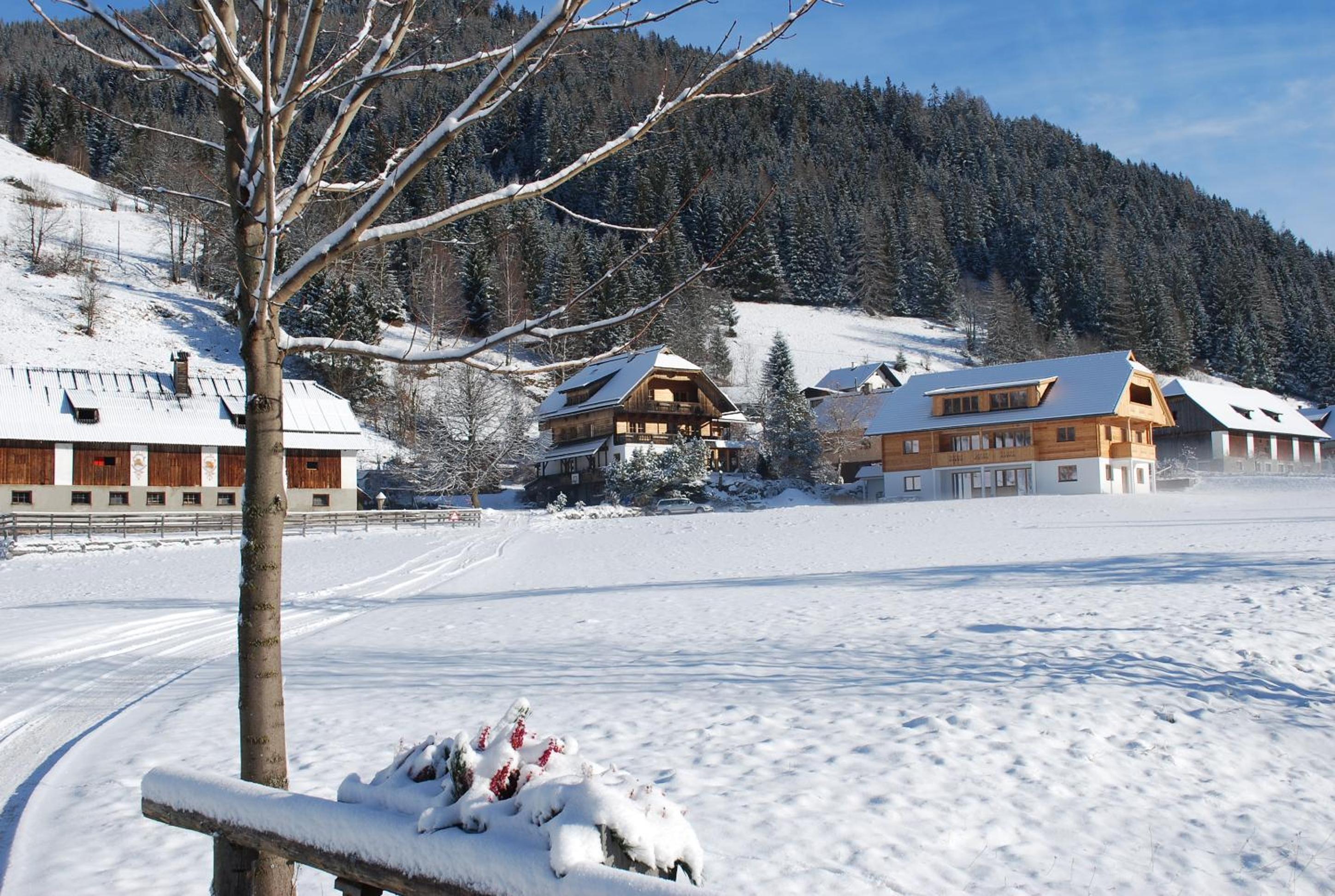 Biohof Seidl
