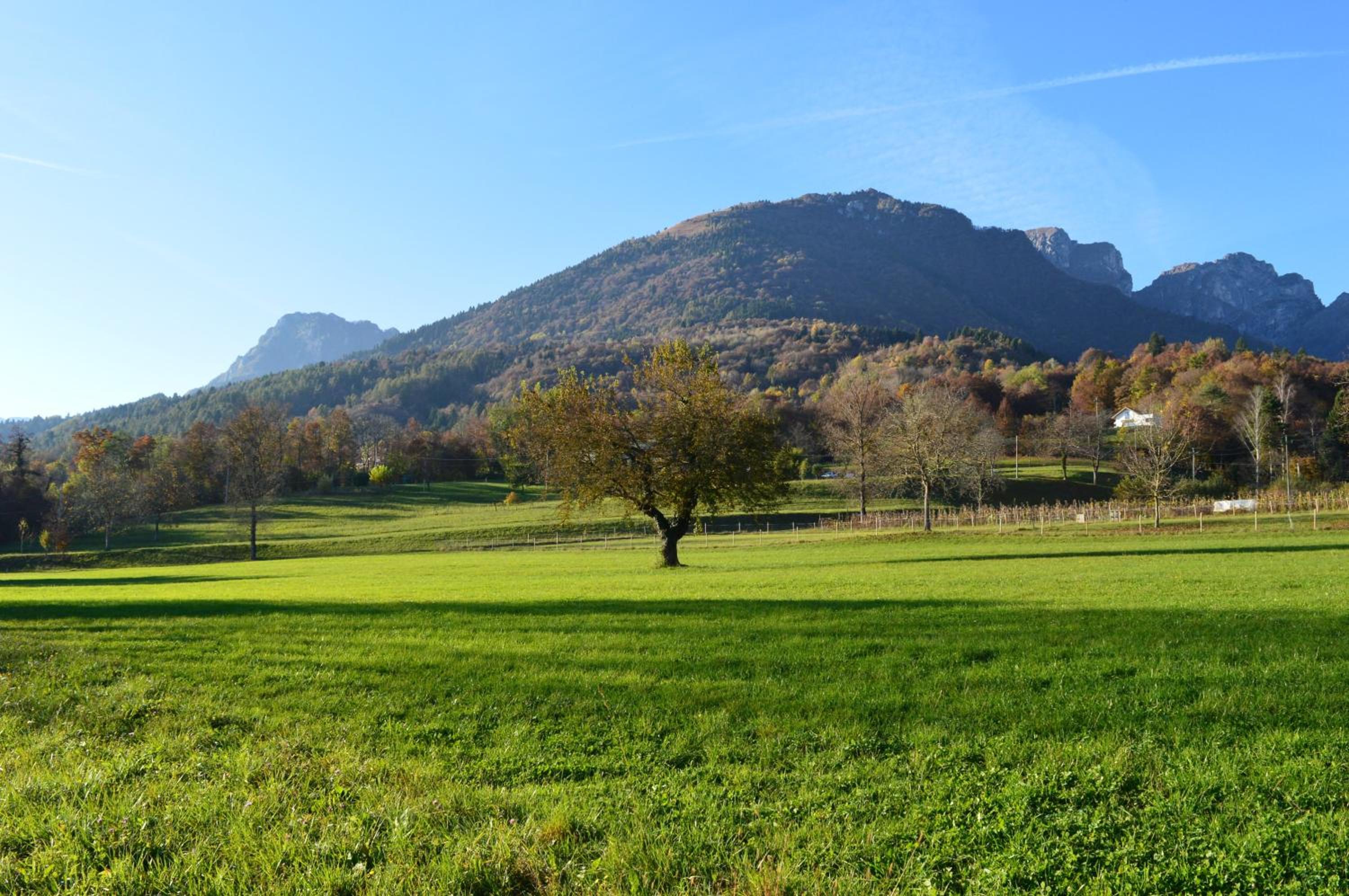 B&B Giardini dell'Ardo