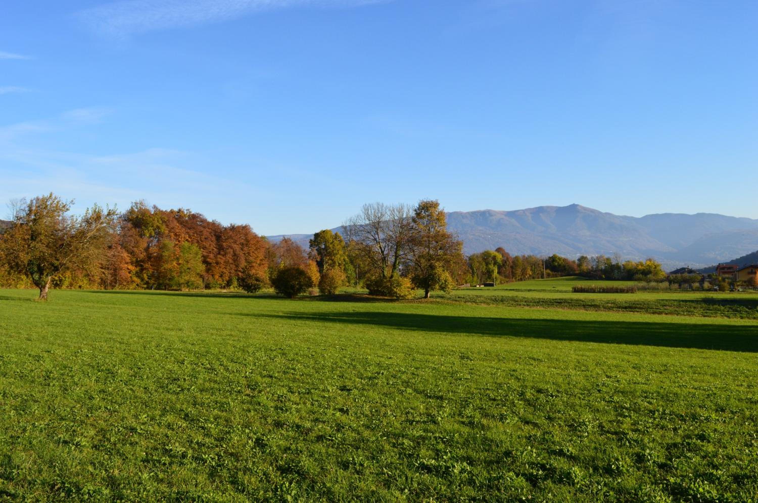 B&B Giardini dell'Ardo