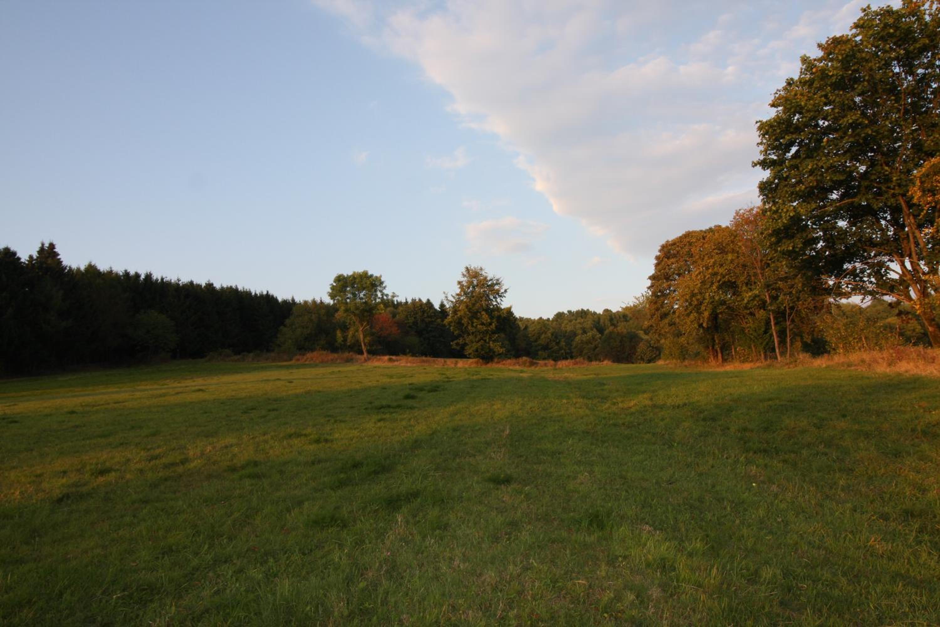 Ferienhaus Sonne, Harz und Sterne