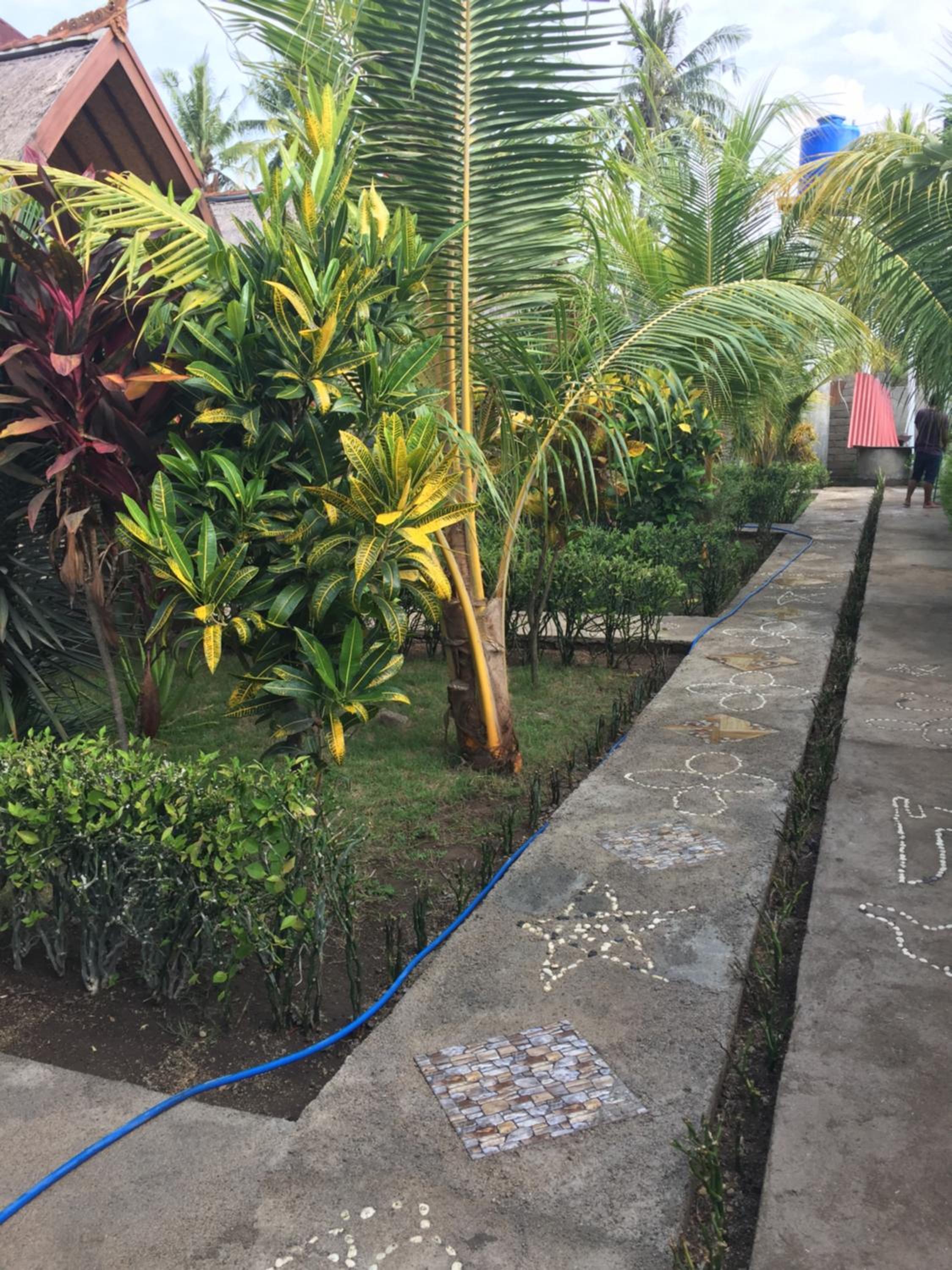 Photo 34