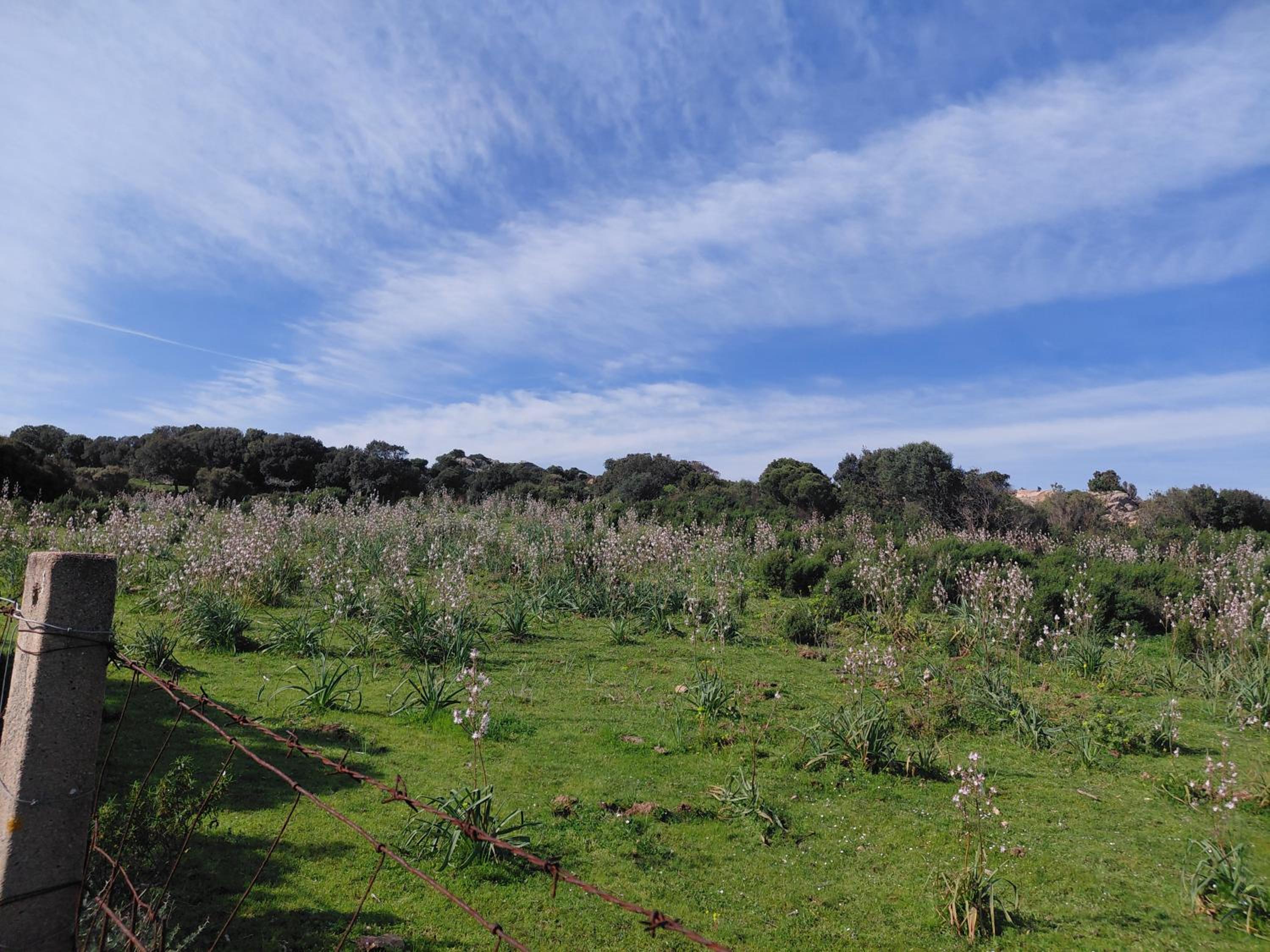 Casa Mene', photo 25