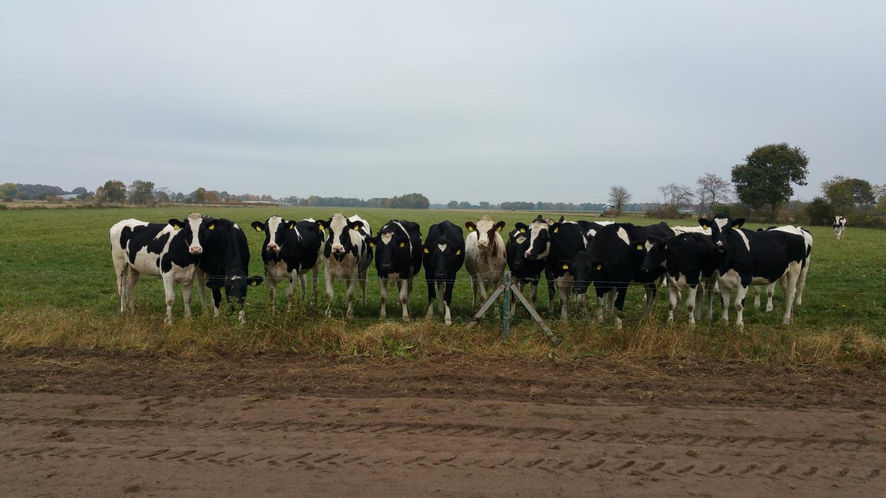 Ferienbauernhof De Slaaphoeve
