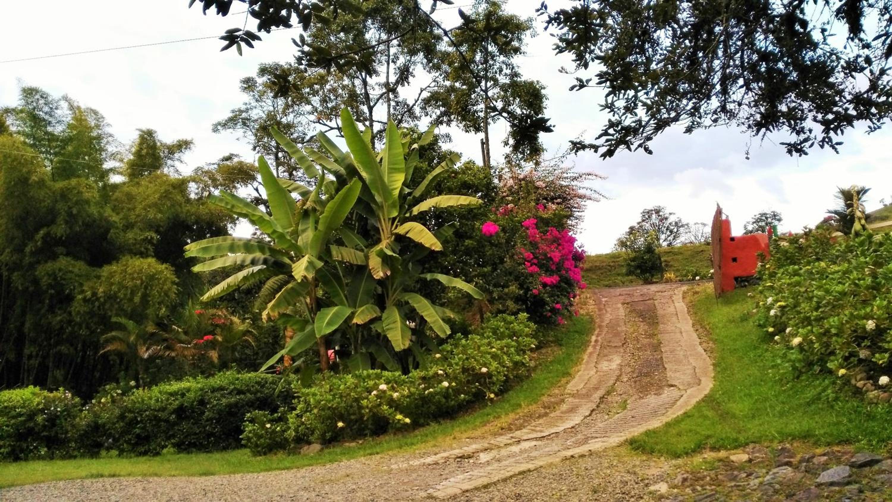 Photo 46