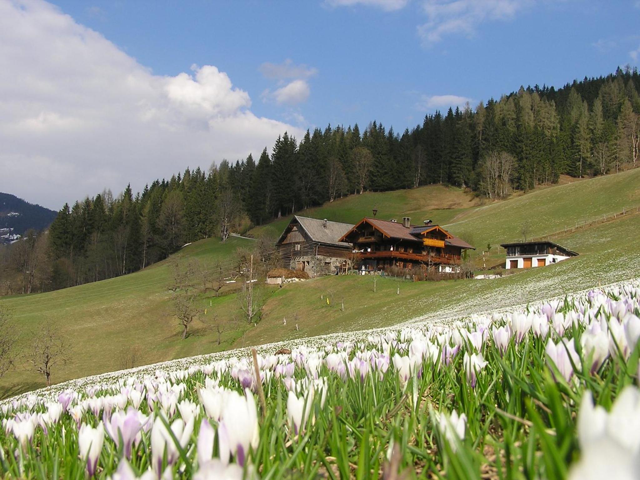 Bio-Bauernhof Nichlgut
