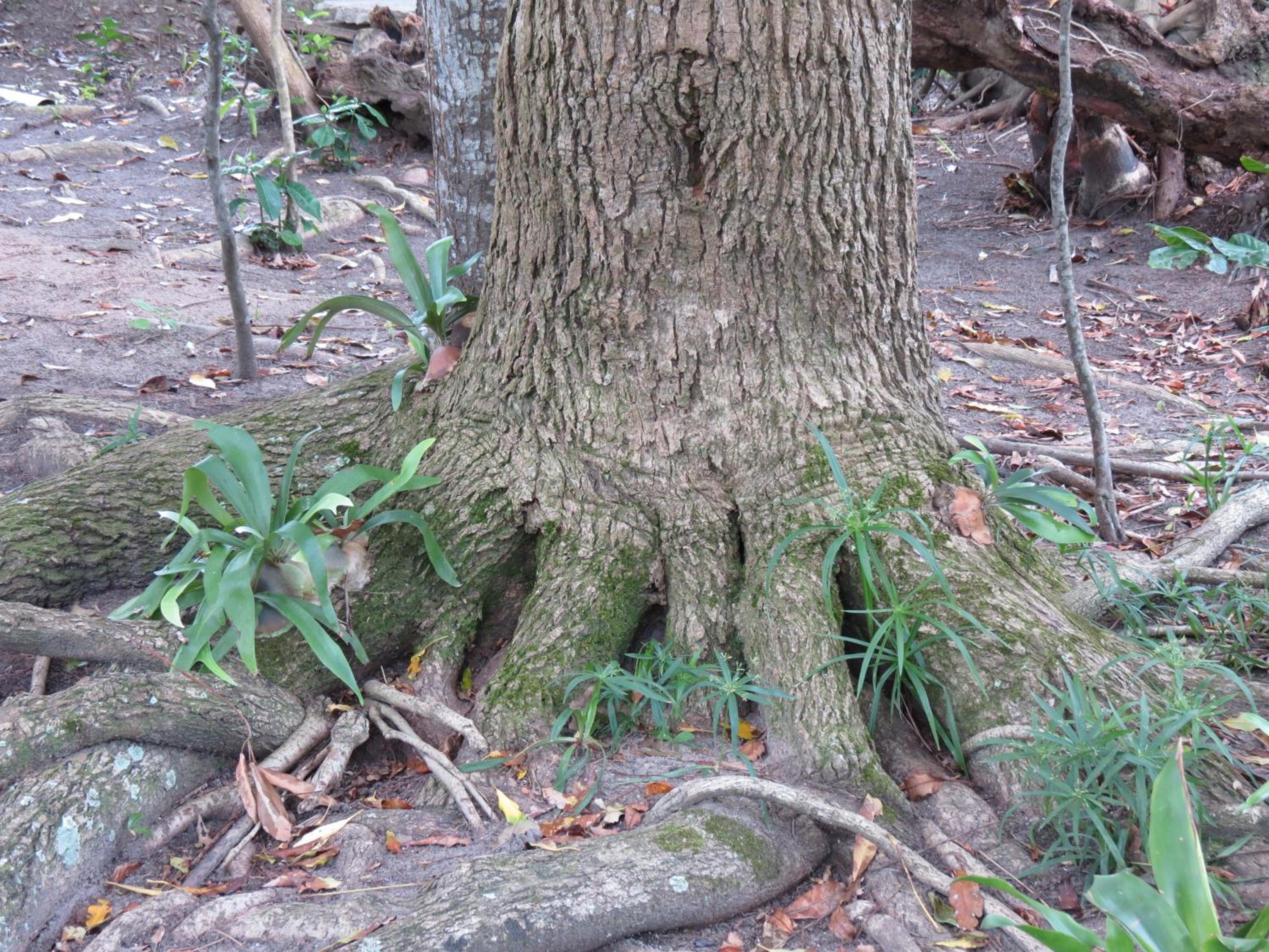 Photo 48
