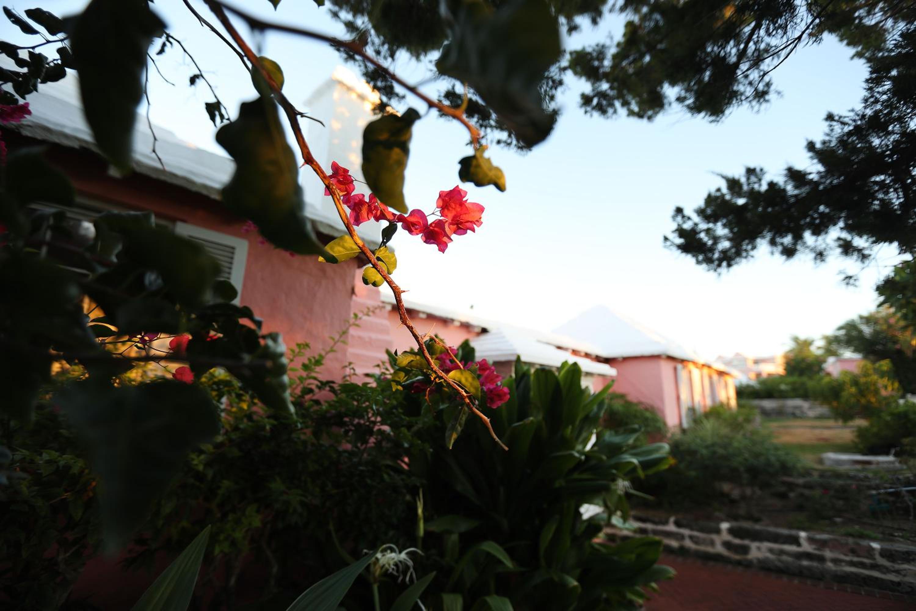 Cambridge Beaches Resort and Spa - Property Image 69