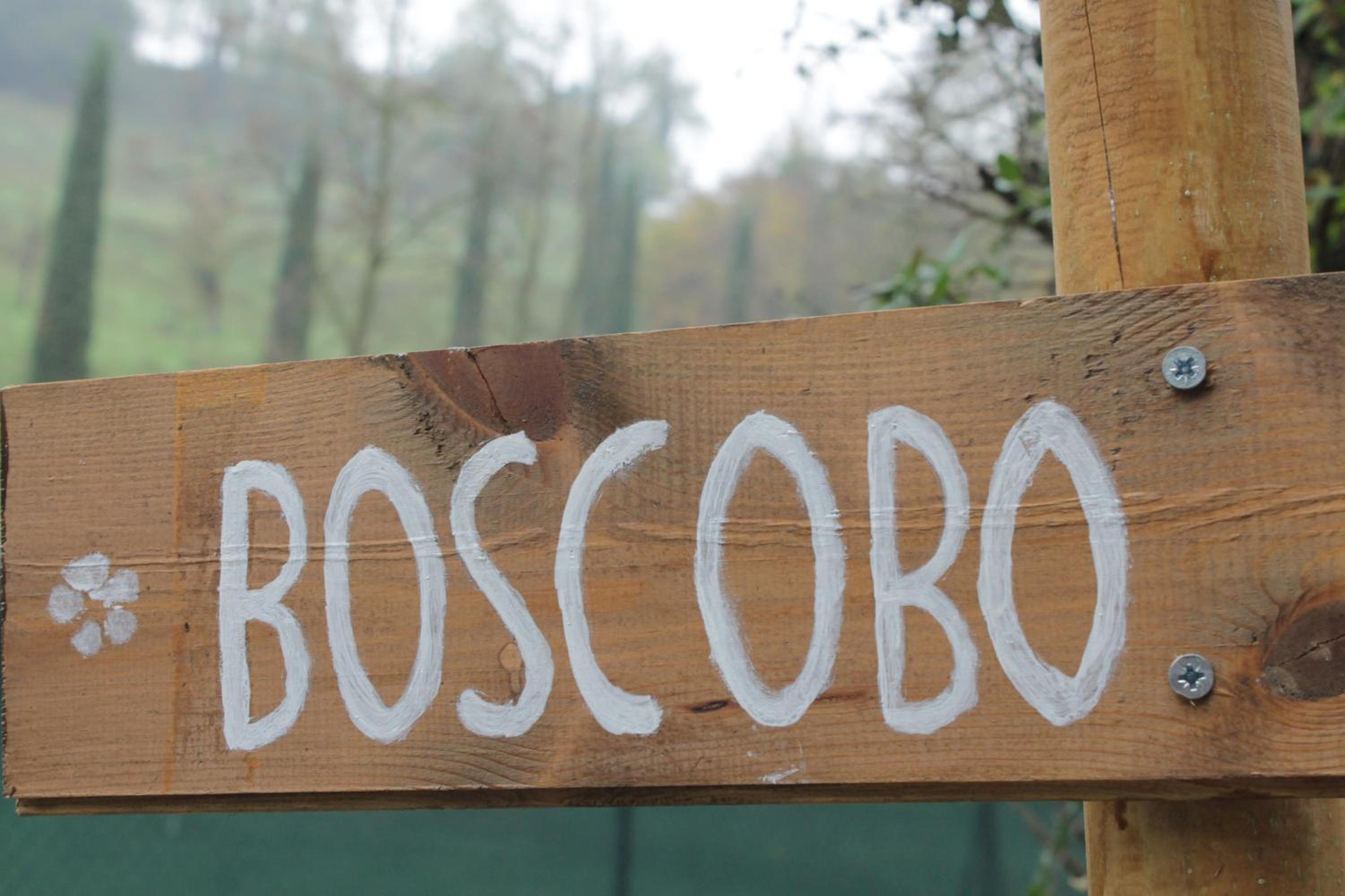 BoscoBo - Relax & Natura