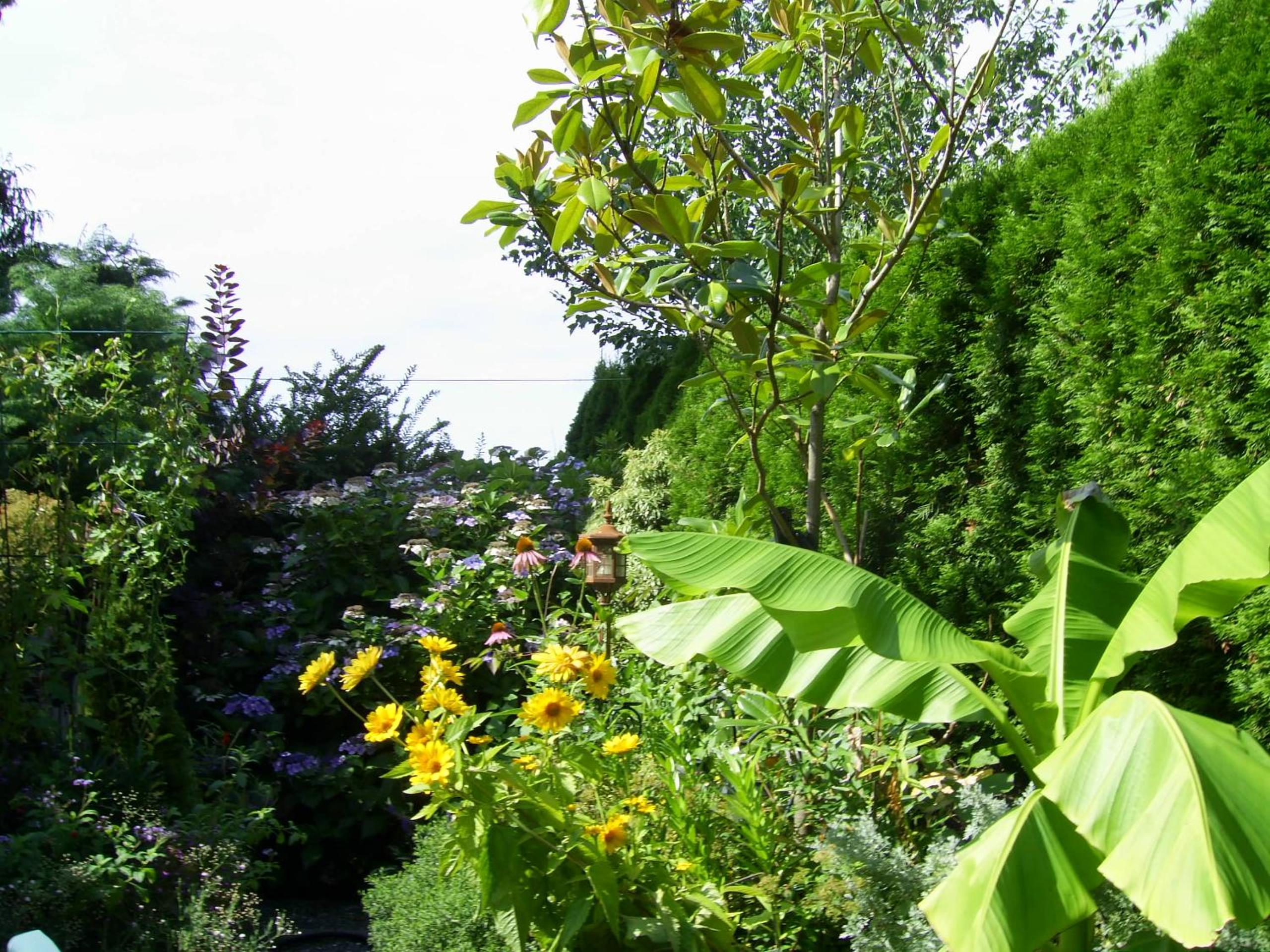 Garden House