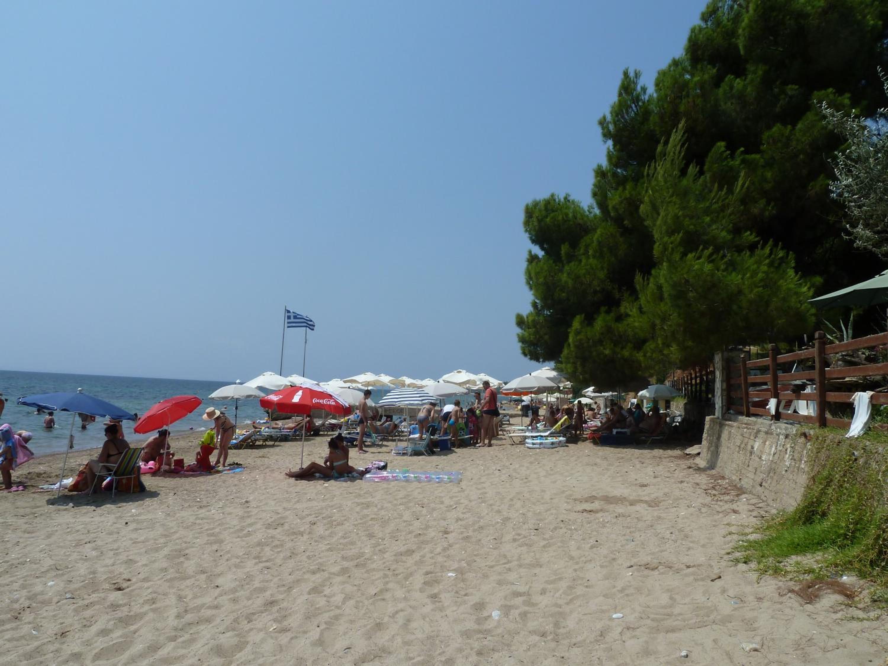 Photo 40