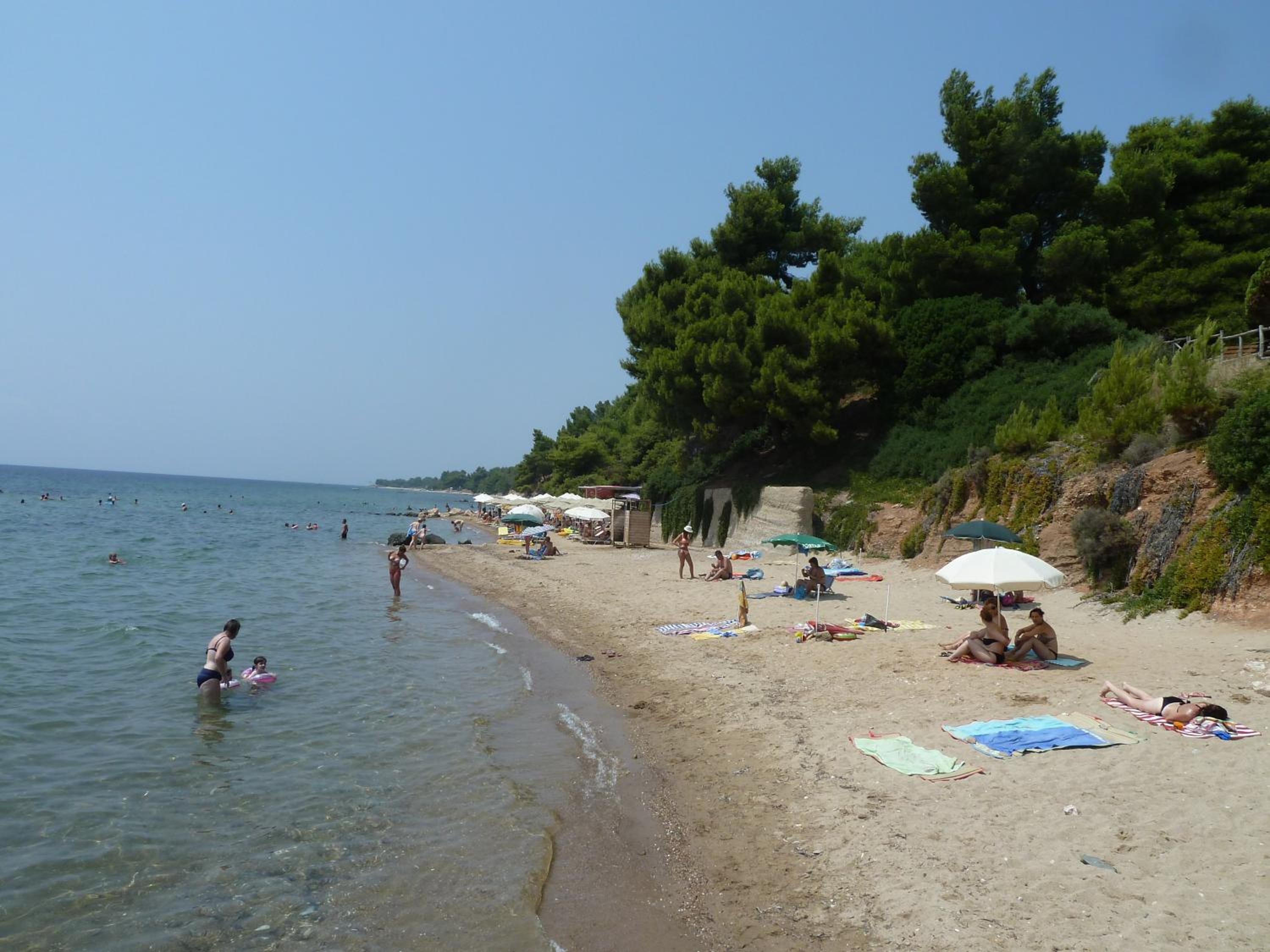 Photo 41