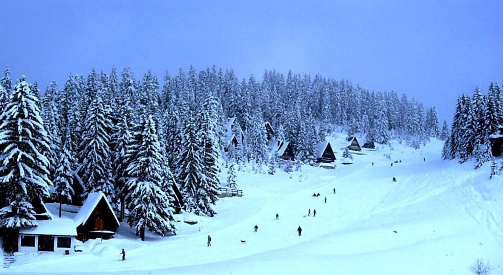 Chalet The Best View