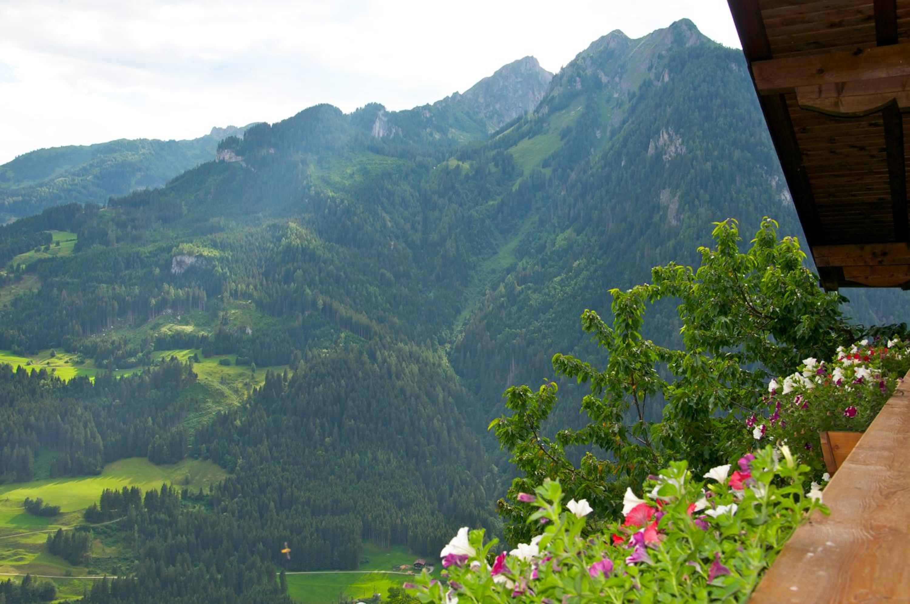 Grasreithof view 5
